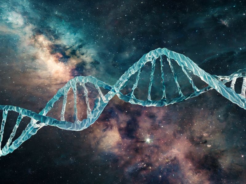 Confrence : L'Univers et la Vie