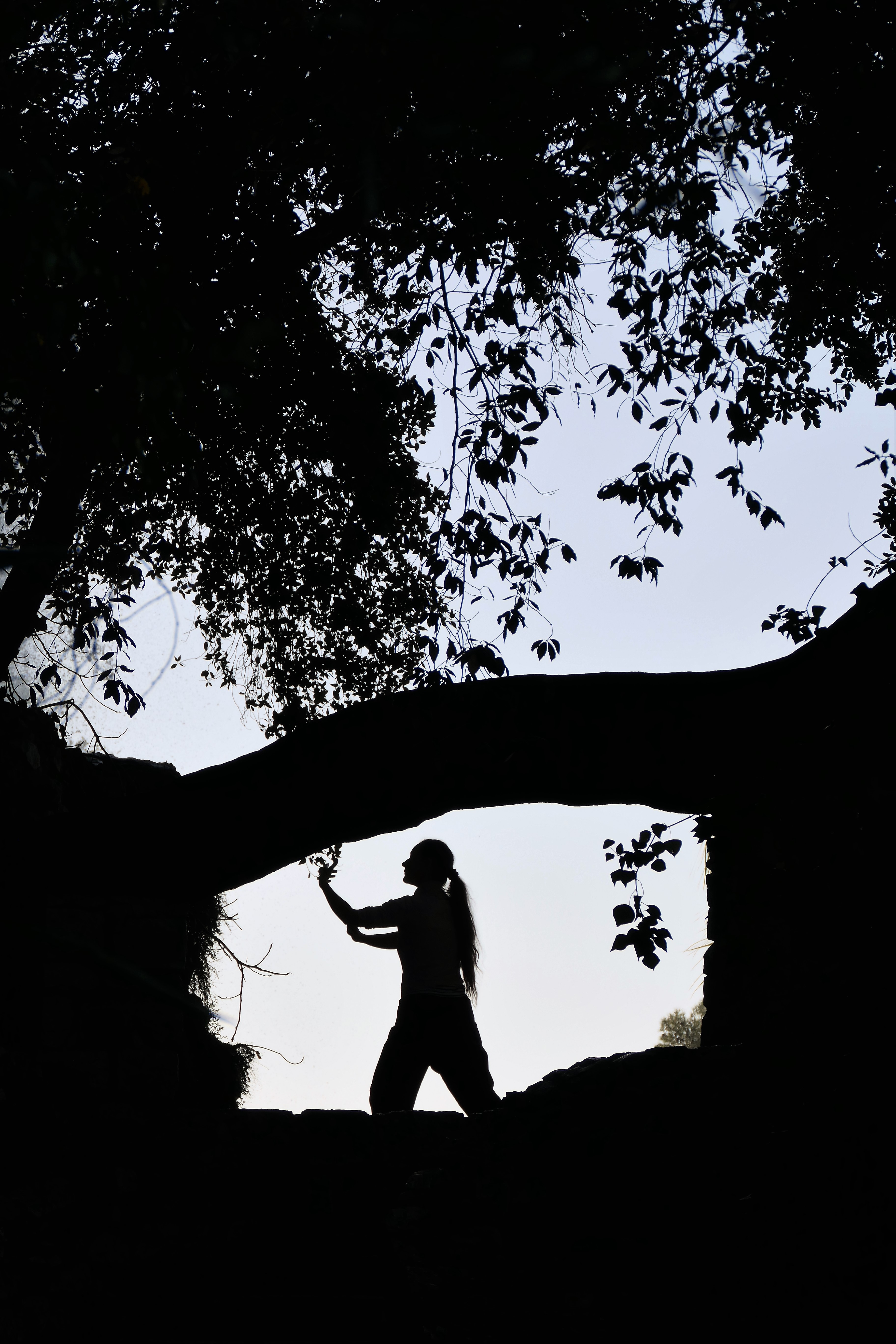 Tai Chi Chuan Tao de sant