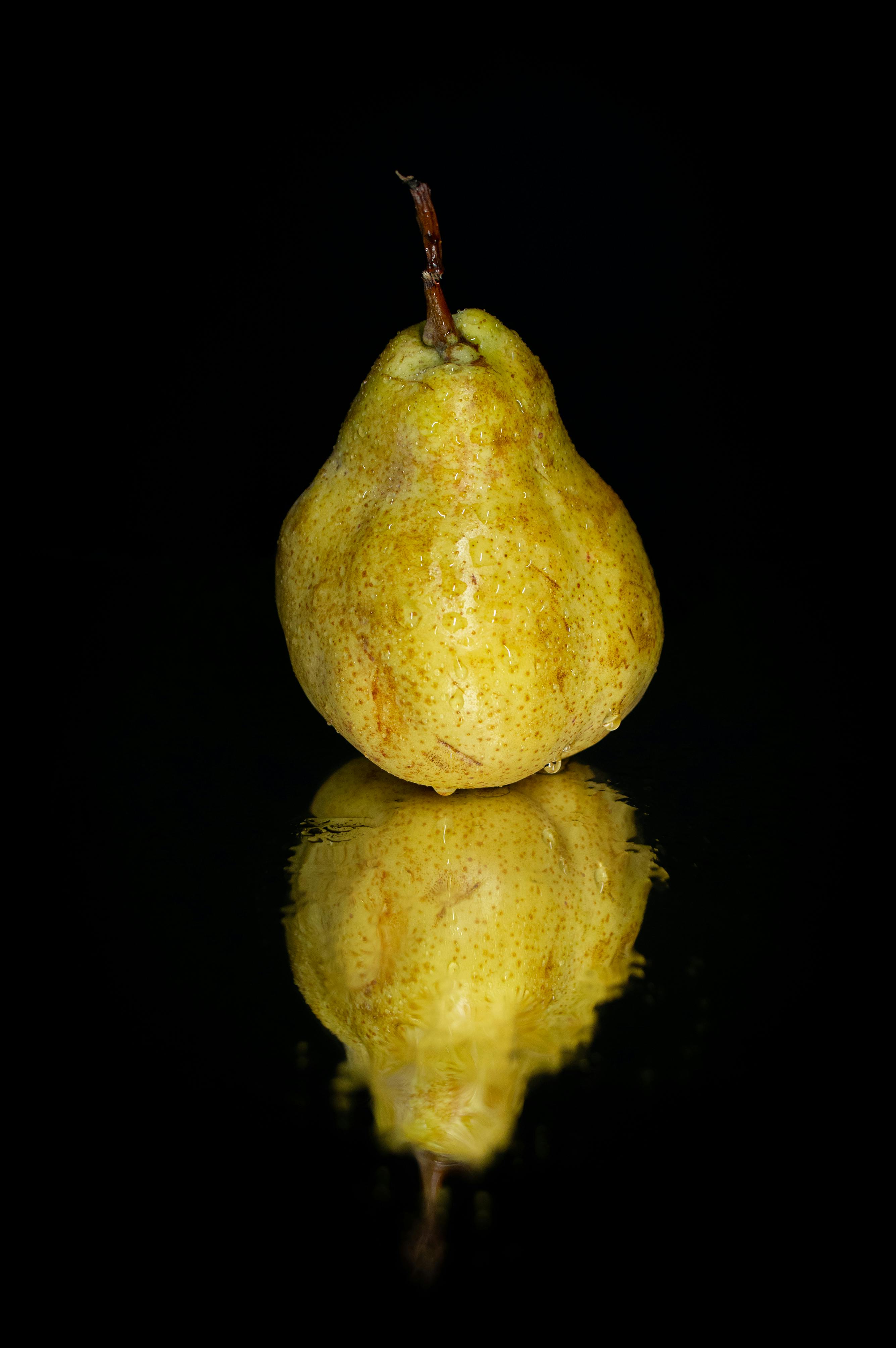 La poire Sarteau, voyage en pays de Draix