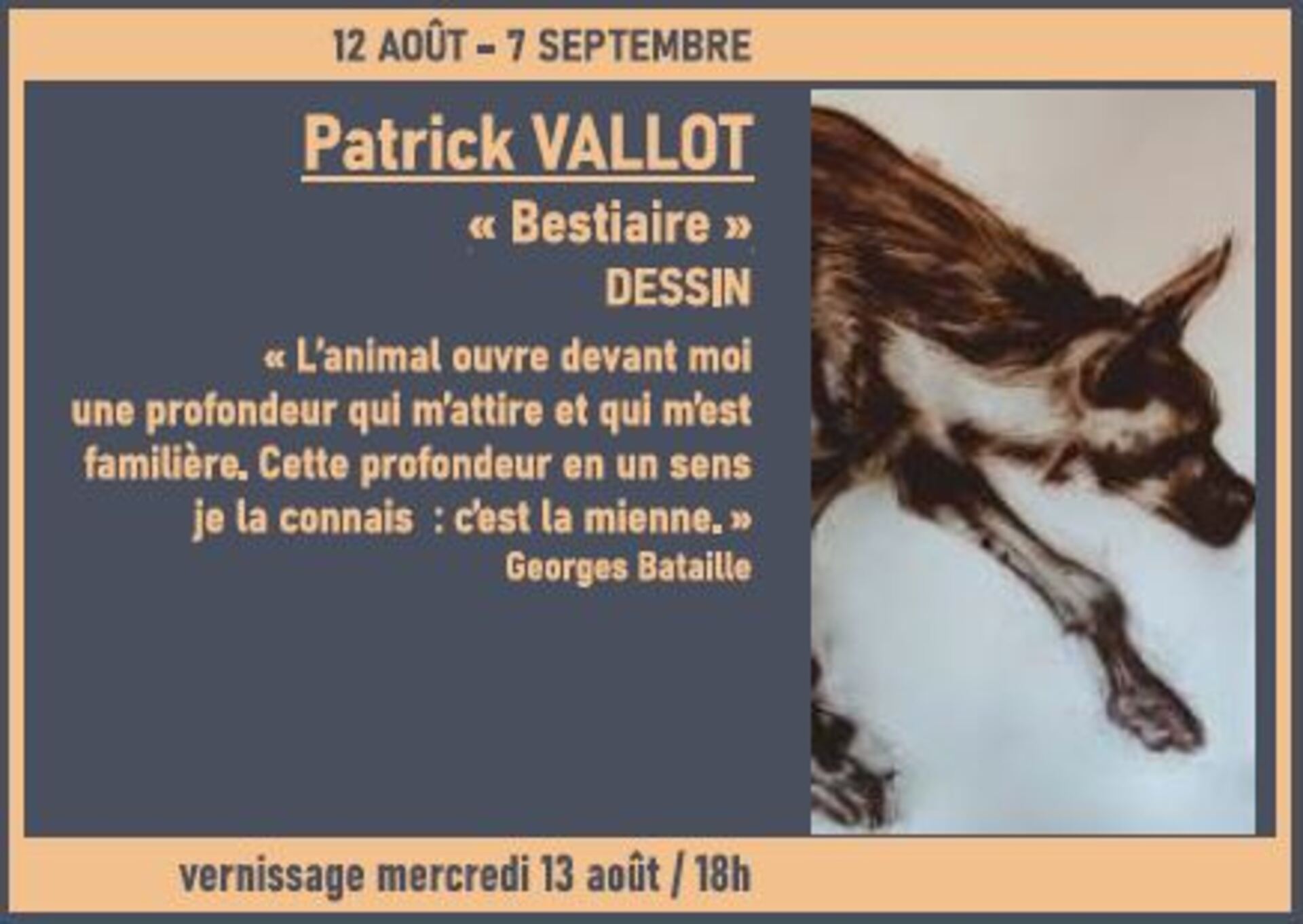 Exposition dessin 