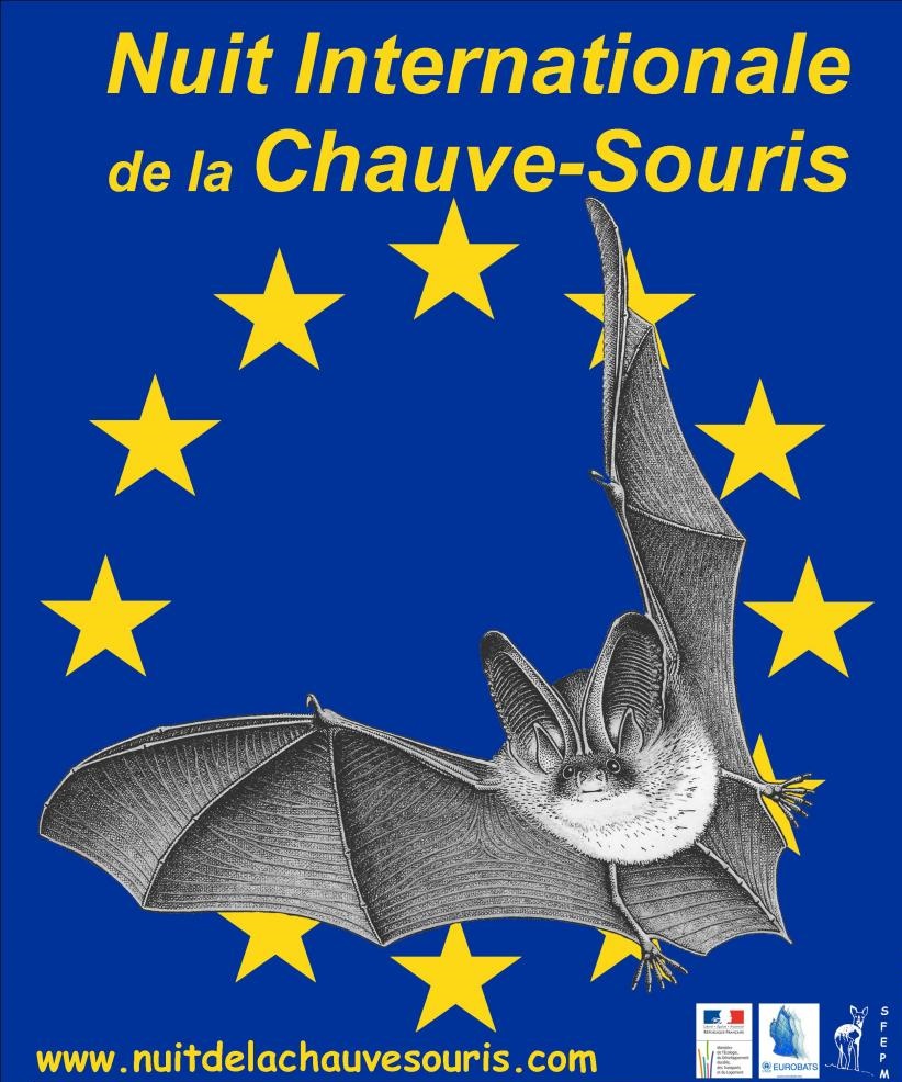 Confrence -  la dcouverte des chauves-souris !