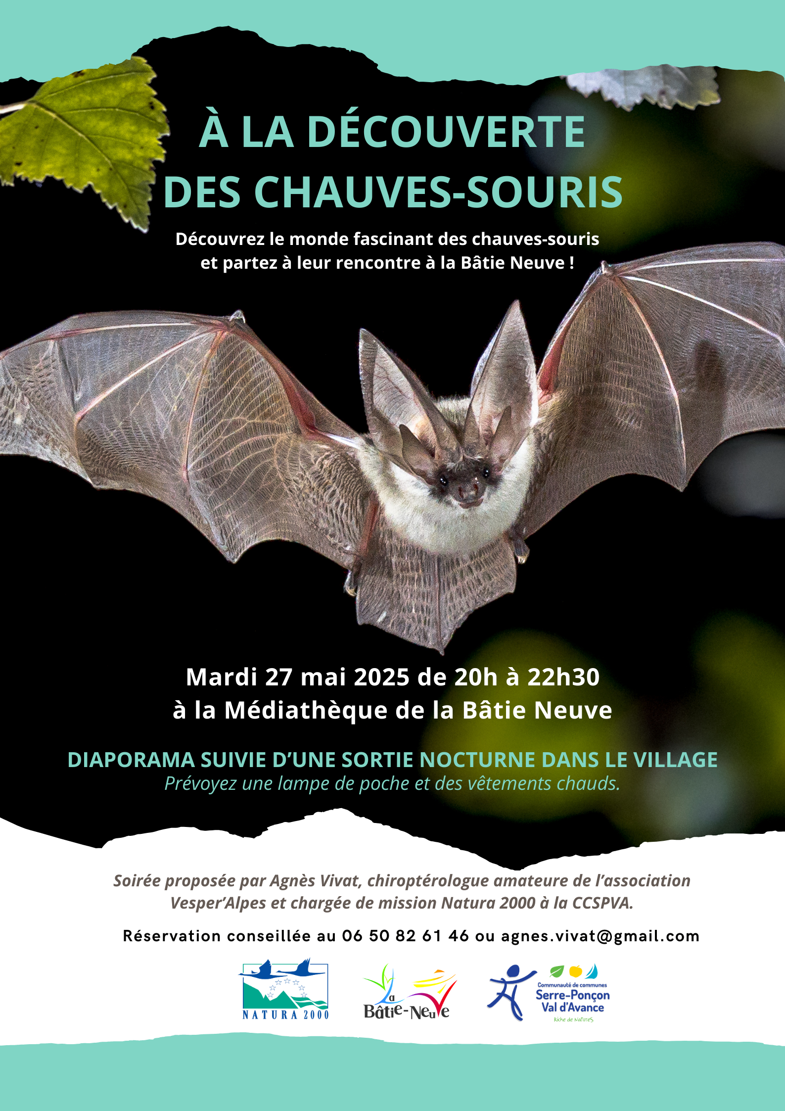 A la dcouverte des chauves-souris