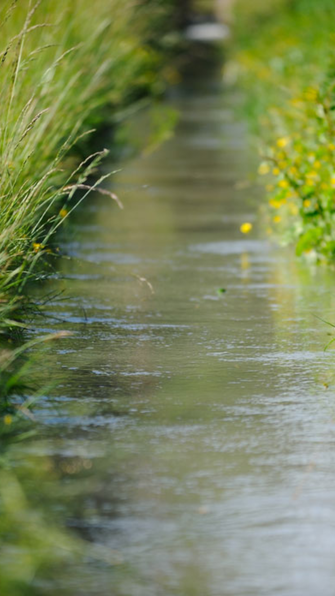 Visite: Dcouvrir les secrets des paysages de la Crau