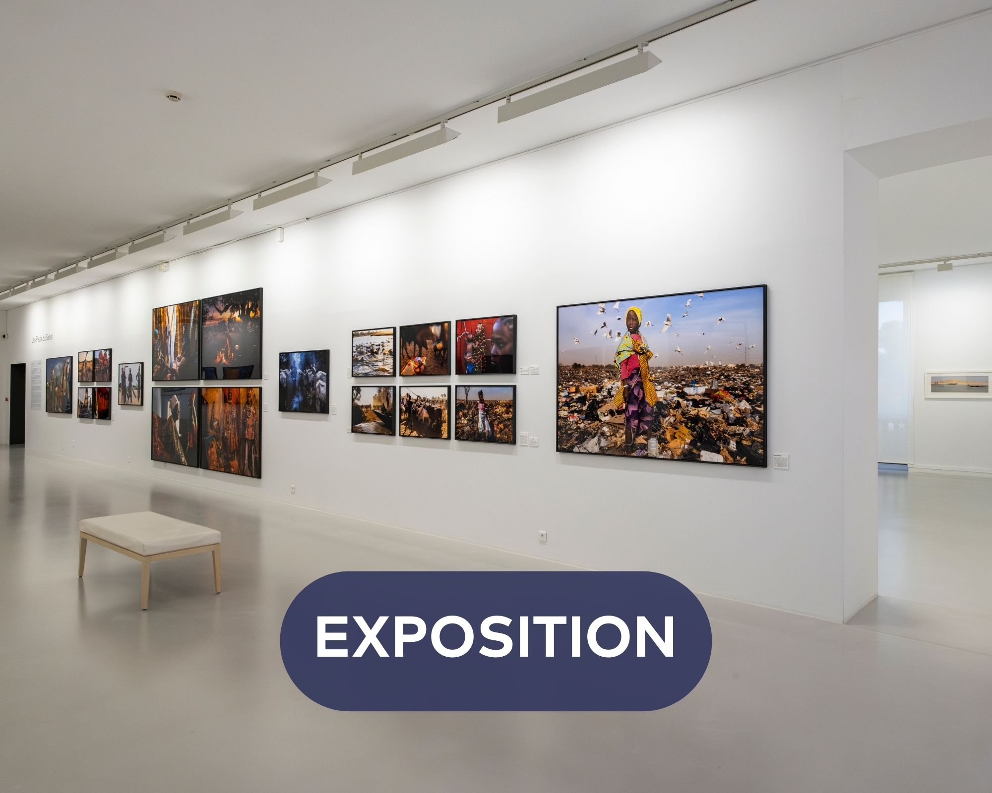 Exposition 