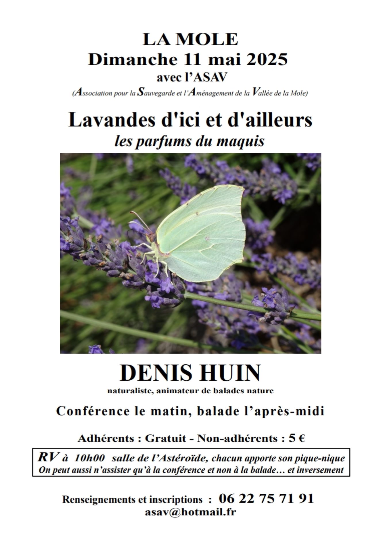 Lavandes d'ici et d'ailleurs