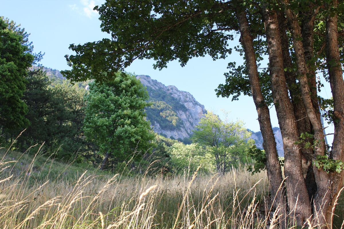 Randonne naturaliste : fort de Durbon