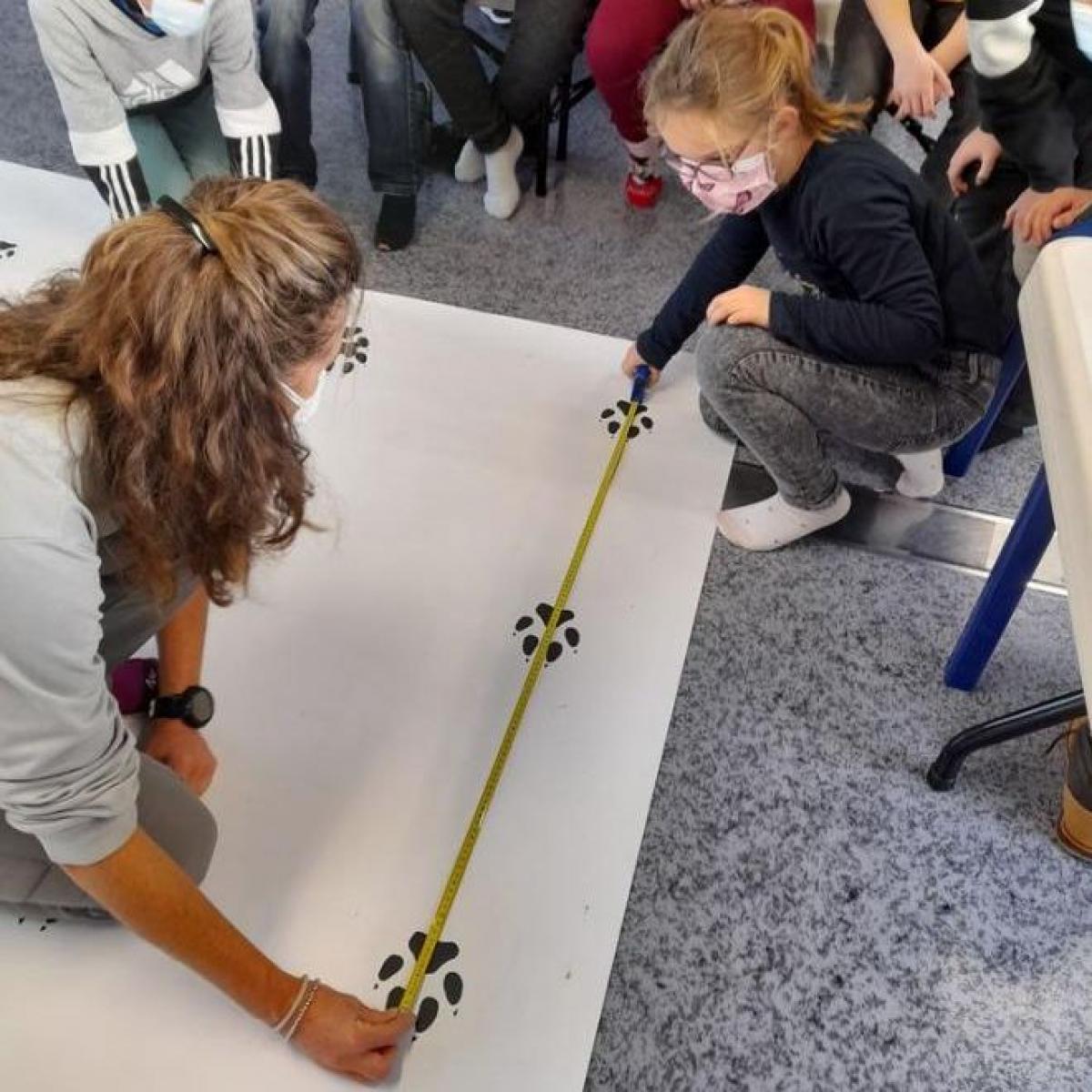 Atelier enfant du Parc national des Ecrins : Loup, qui es-tu ?