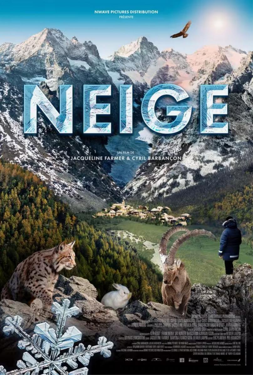 Projection en plein air : En attendant la neige