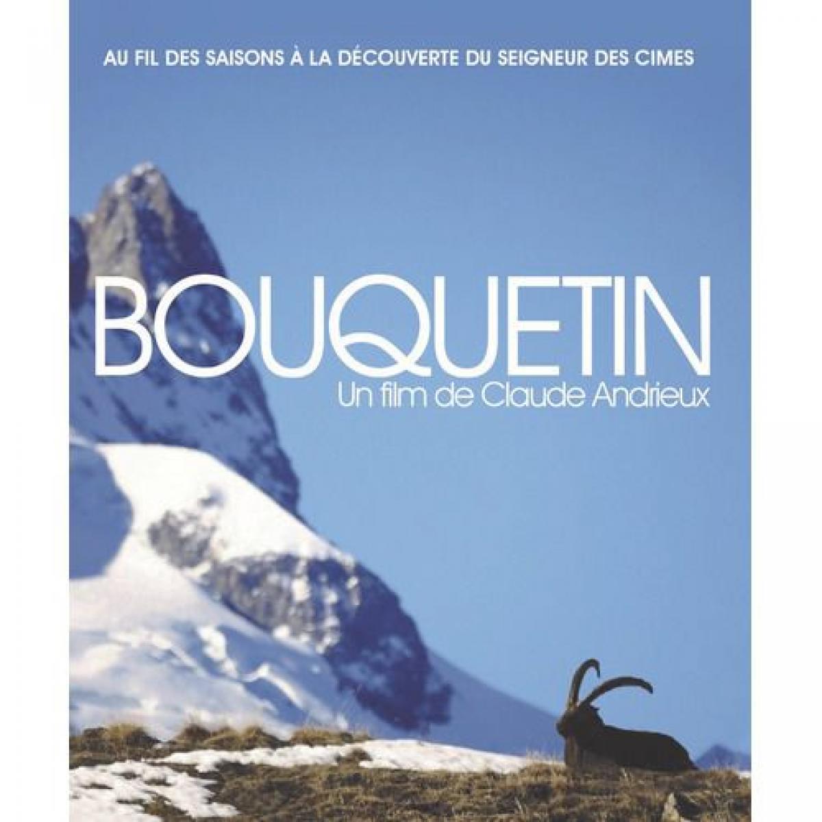 Projection en plein air : Bouquetin
