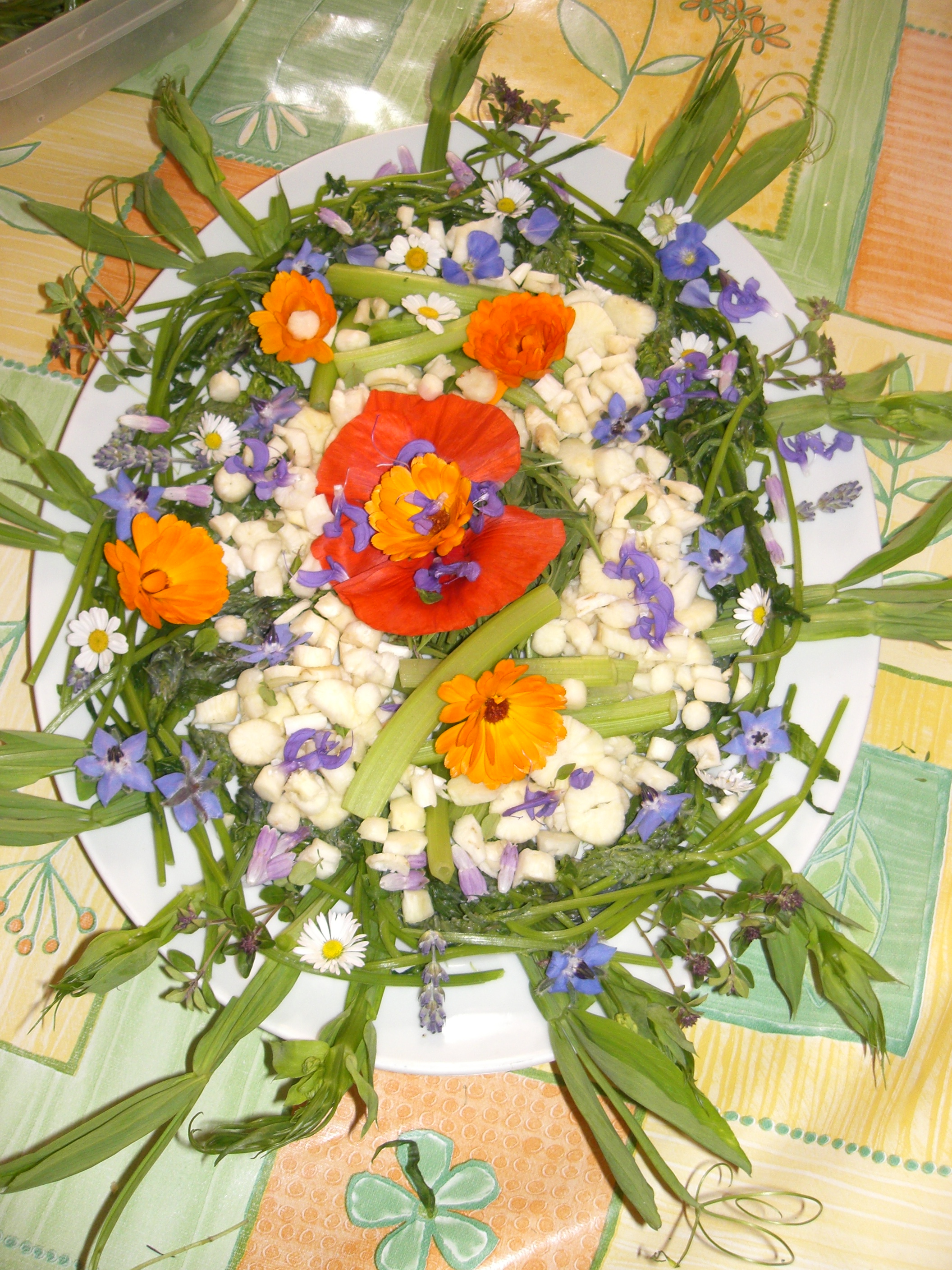 Atelier dcouverte - Plantes sauvages comestibles