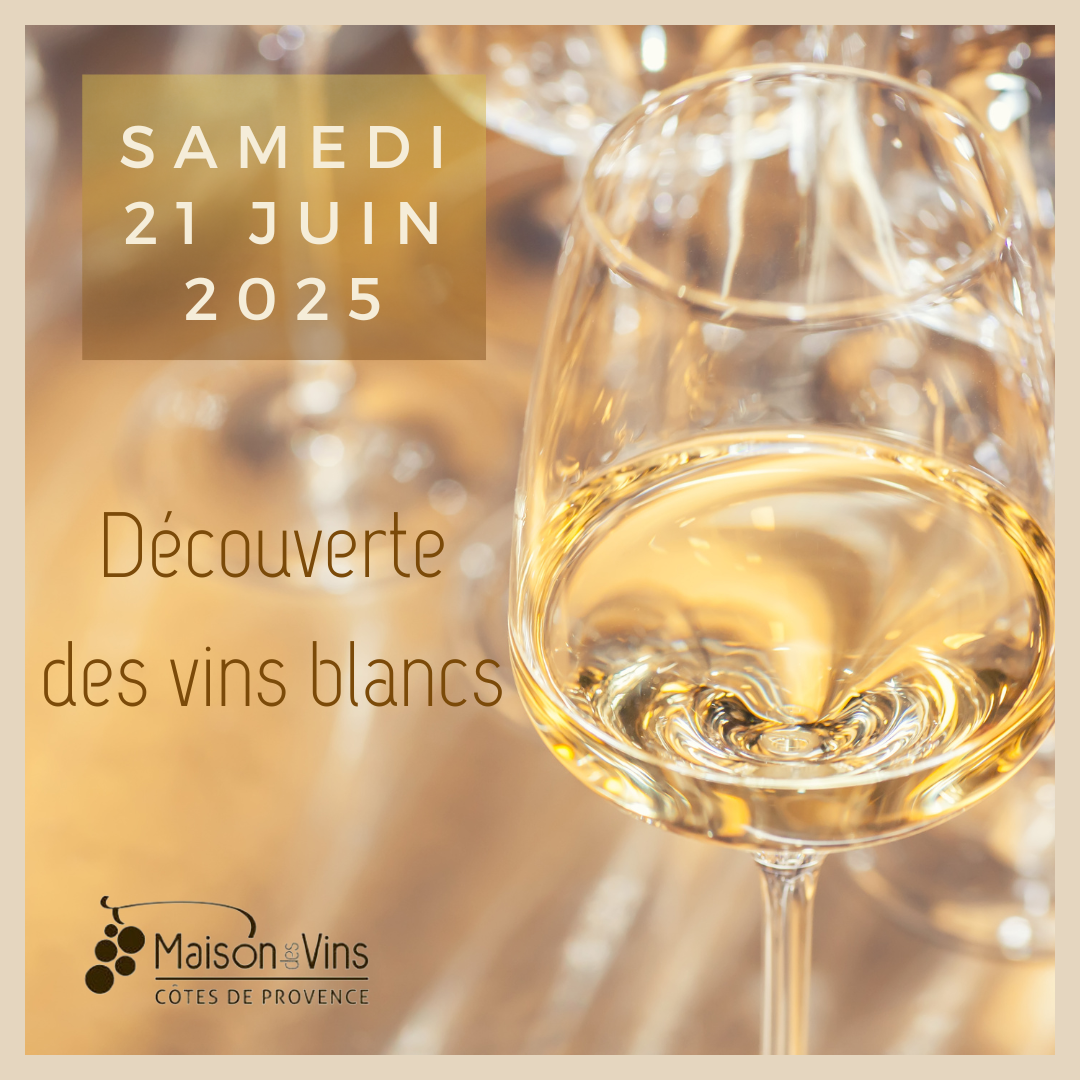 Journe dcouverte des vins blancs Ctes de Provence