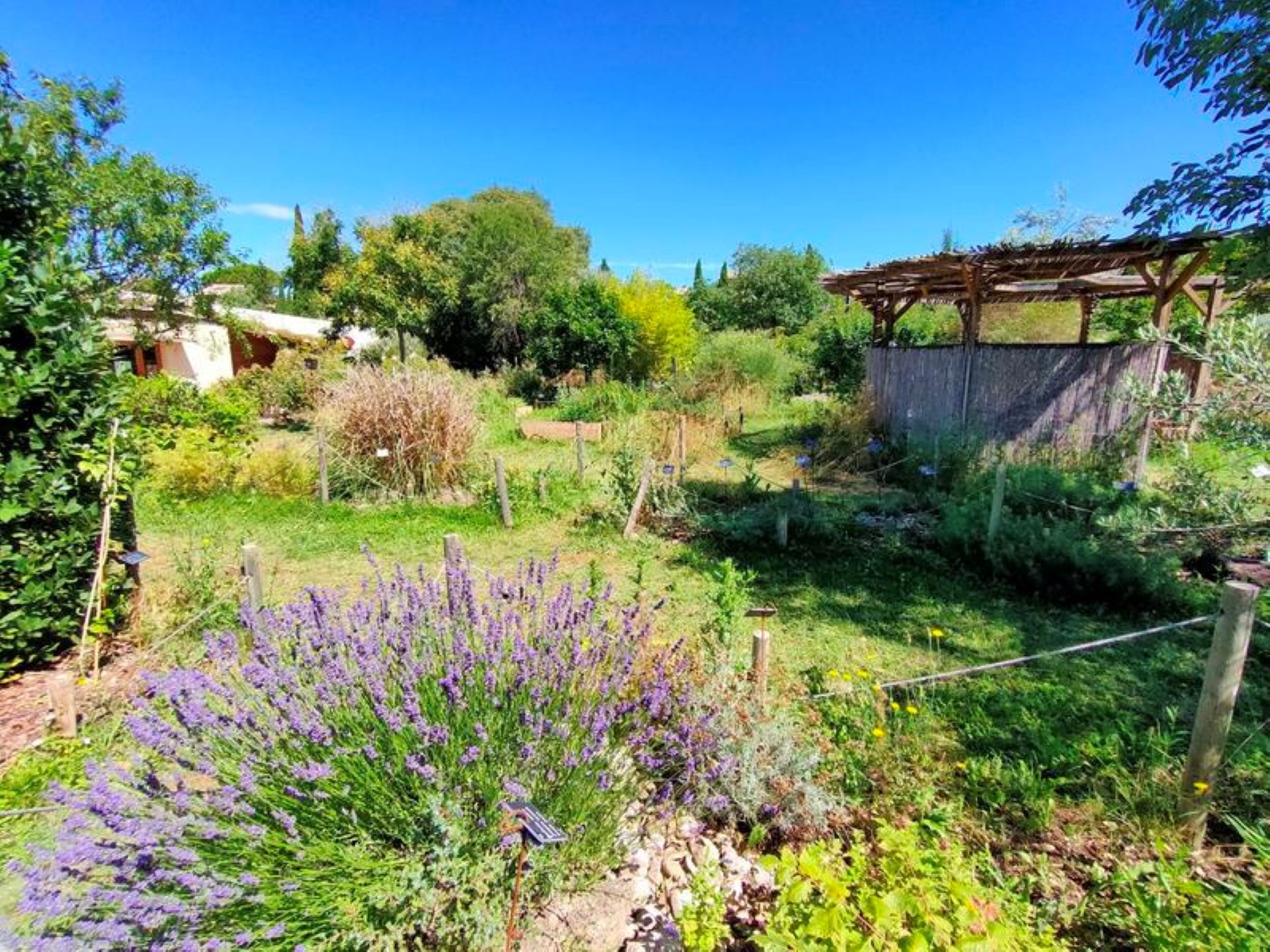 Atelier potager et plantation de fleurs grimpantes