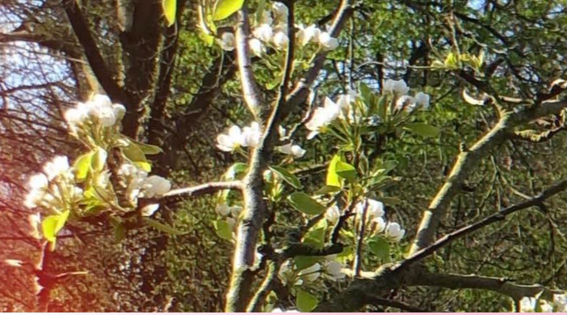 Spring is possible