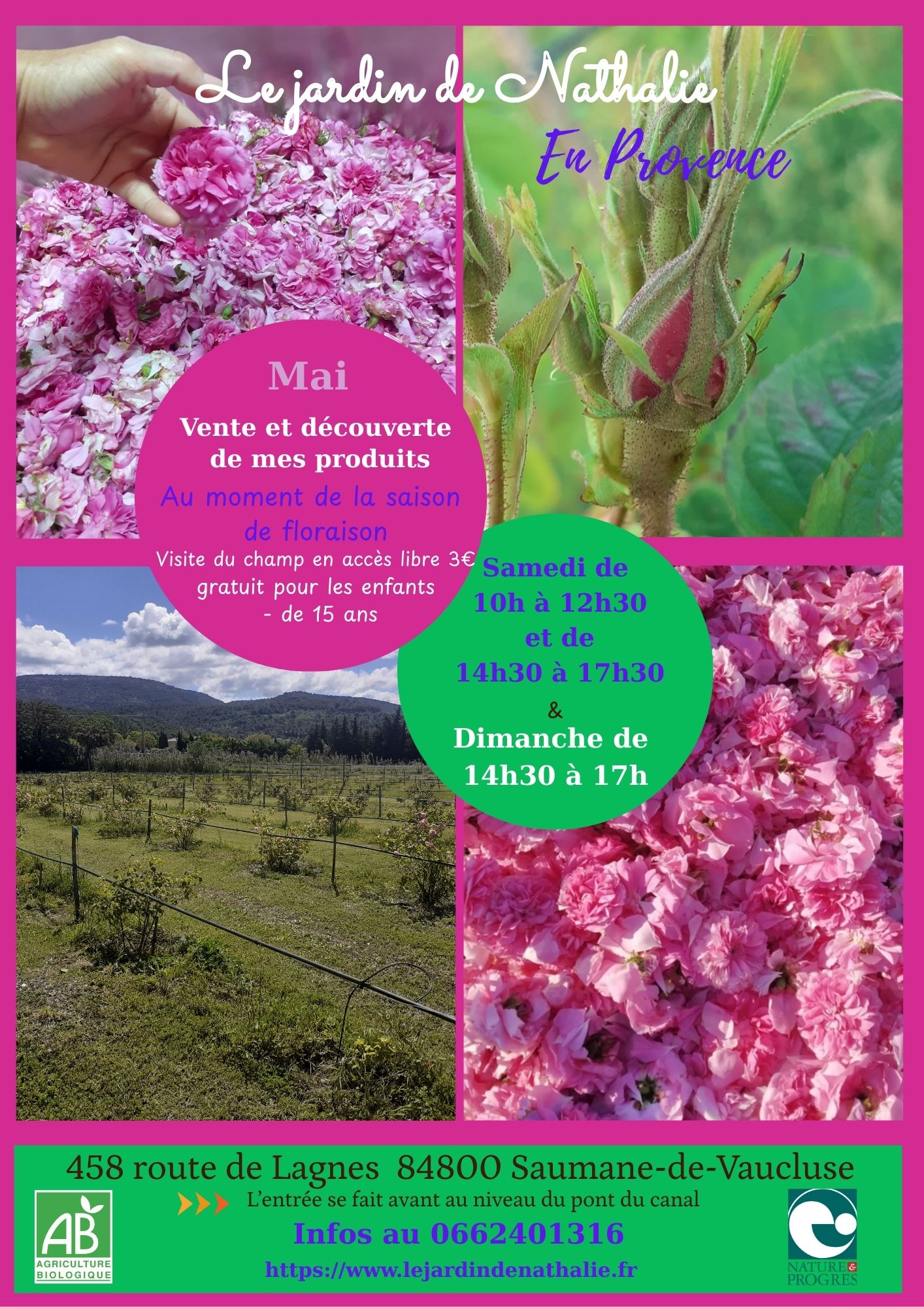 Vente au jardin & visite du champ de roses