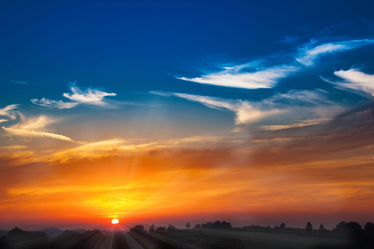 Songe d'une nuit toile
