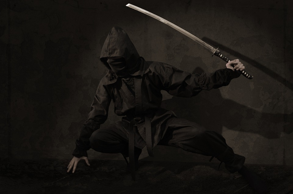 Les ninjas : le vrai et le faux