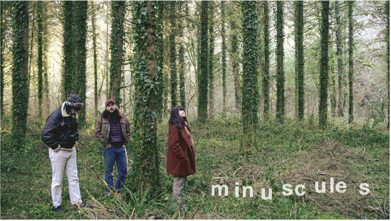 Minuscules