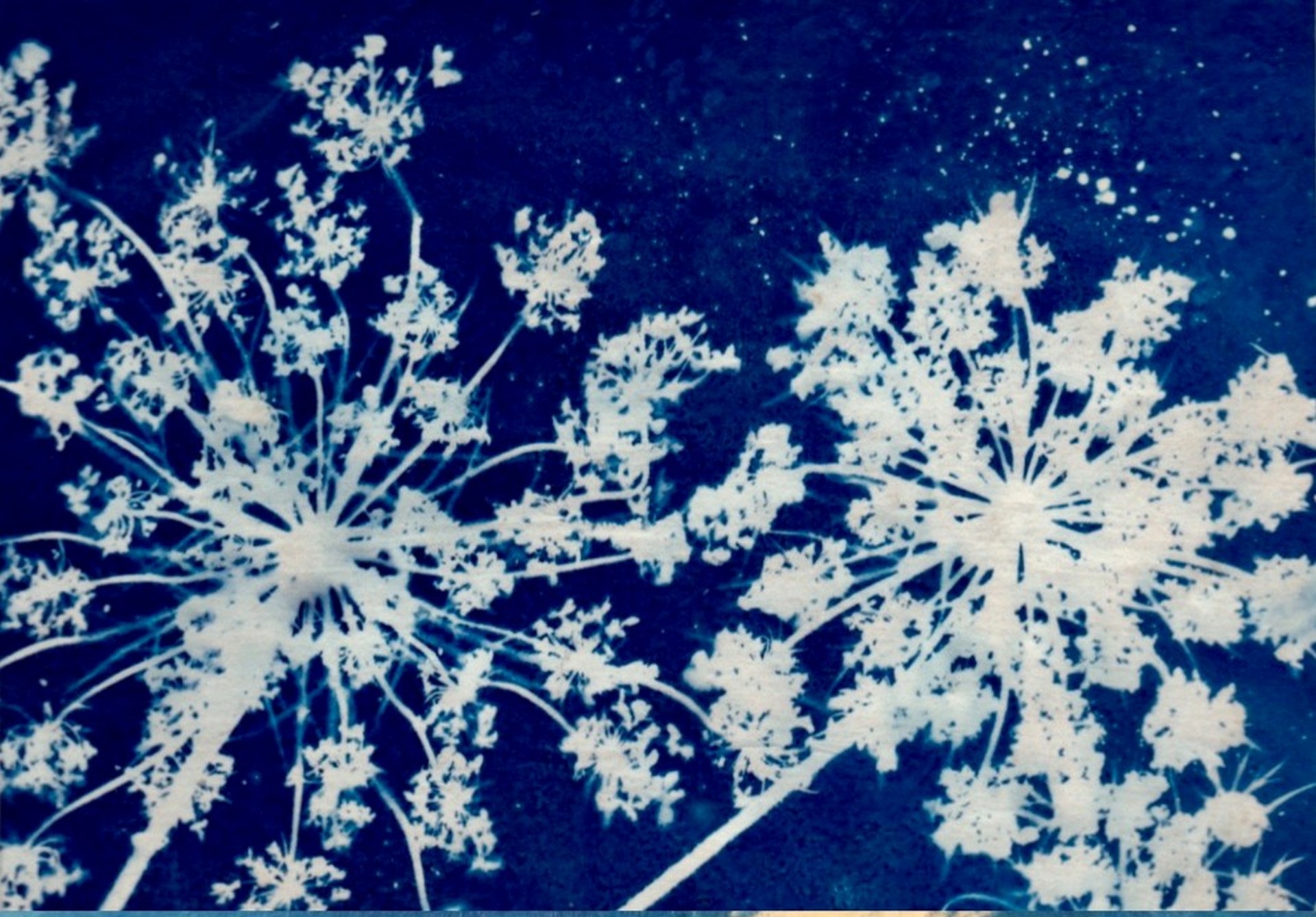 La vitrine des crateurs - Atelier BLU - Anne Brault