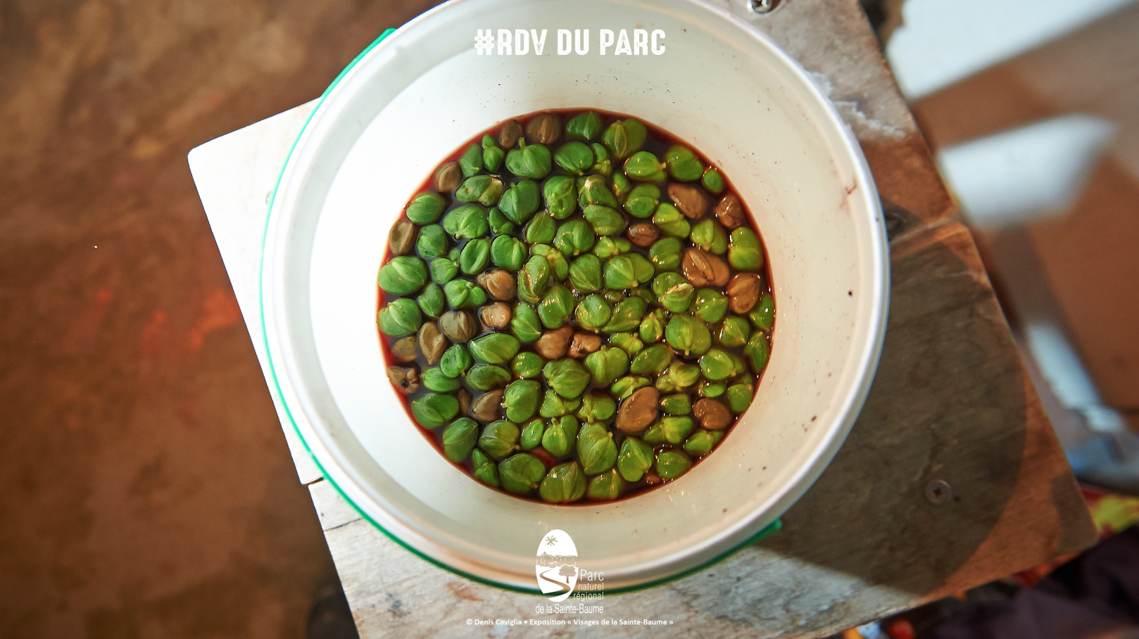 Tapeno : la cpre d'hier  aujourd'hui #RDVduParc