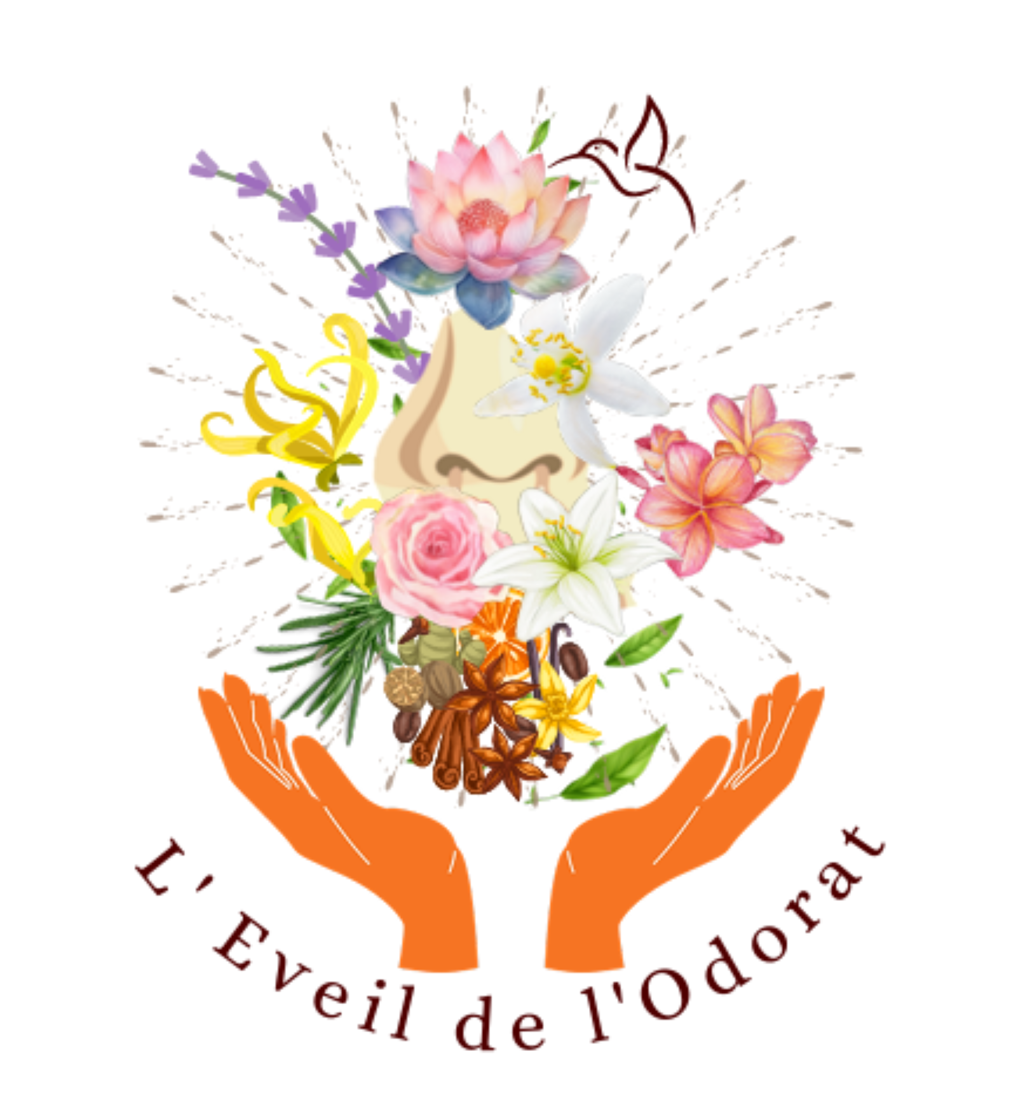 La spirale Arc-en-ciel des nergies olfactives - cycle des rencontres avec L'veil de l'odorat