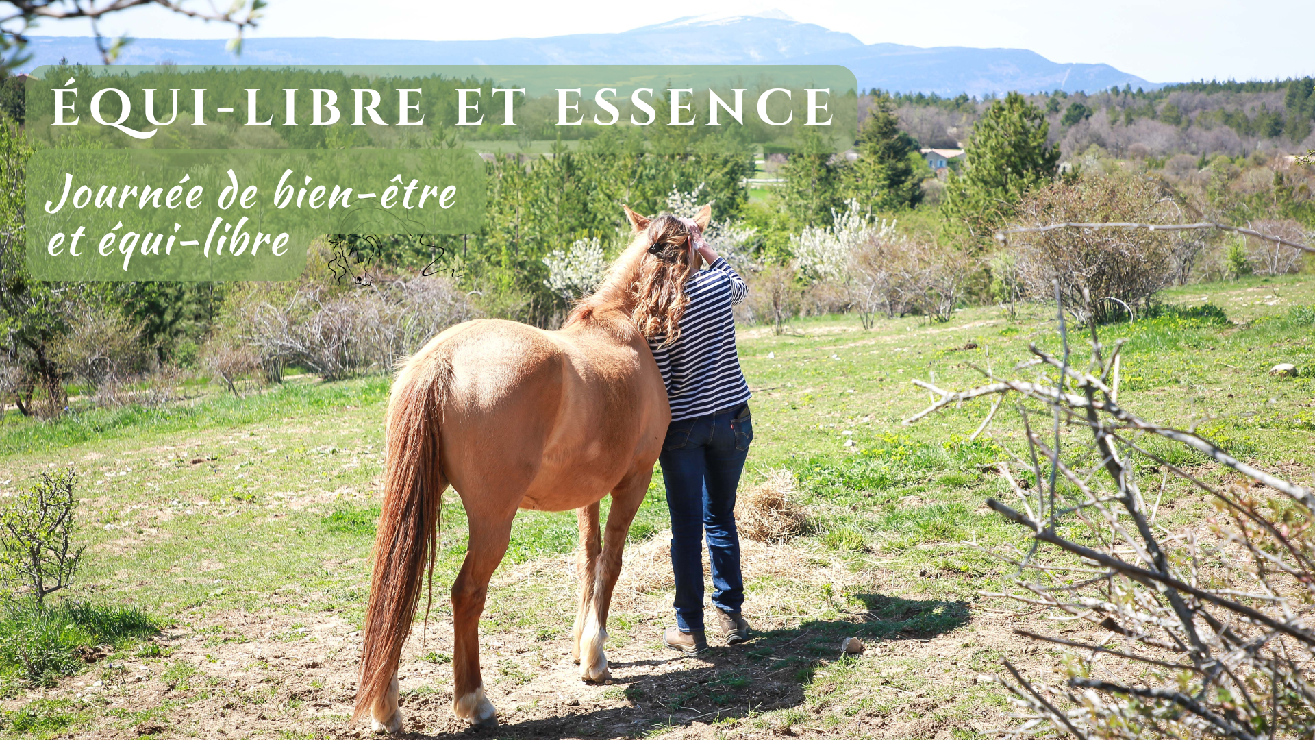 Equi-libre et Essence : Journée de bien-être et équi-libre