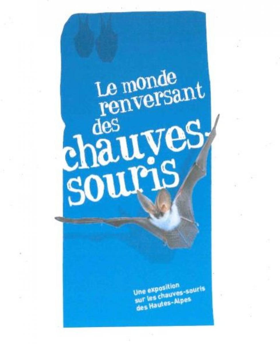 Exposition : Le monde renversant des chauves-souris