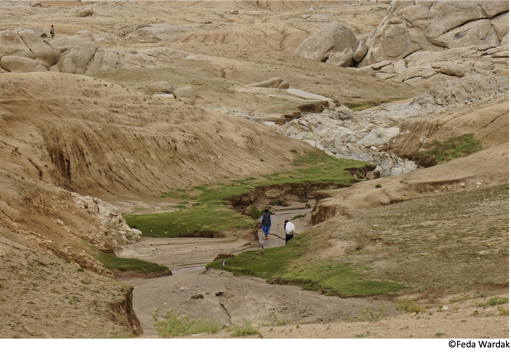 Visites commentes  