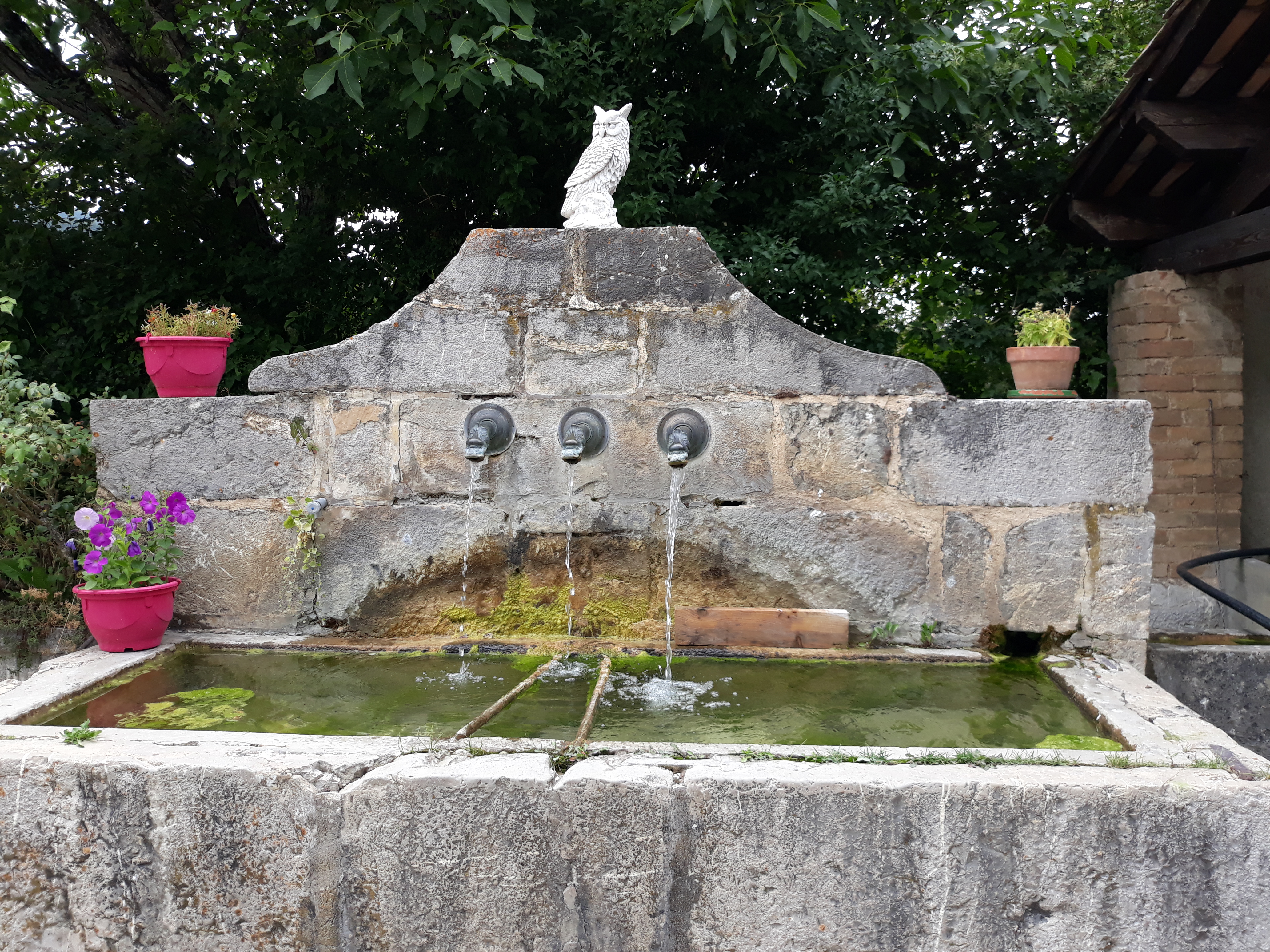 Exposition : 