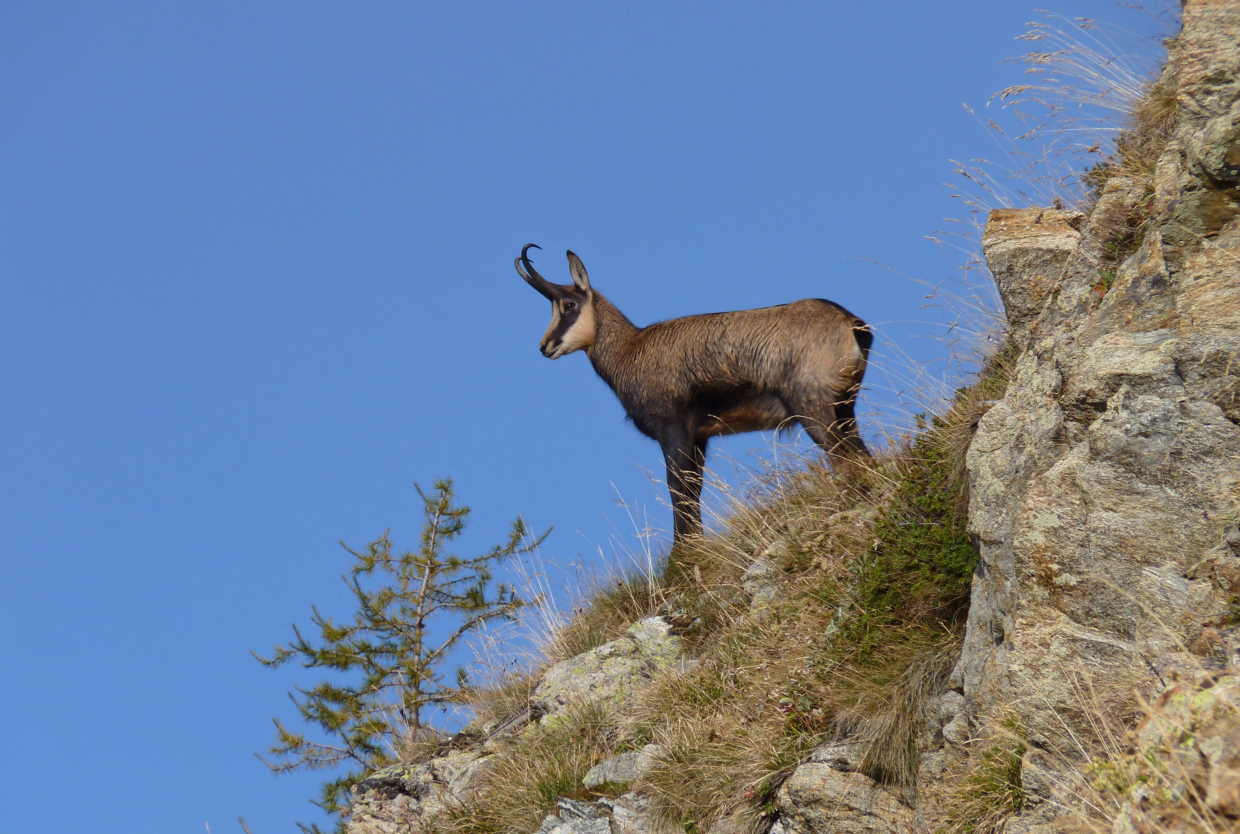 Dcouverte de la faune et de la flore du Parc national