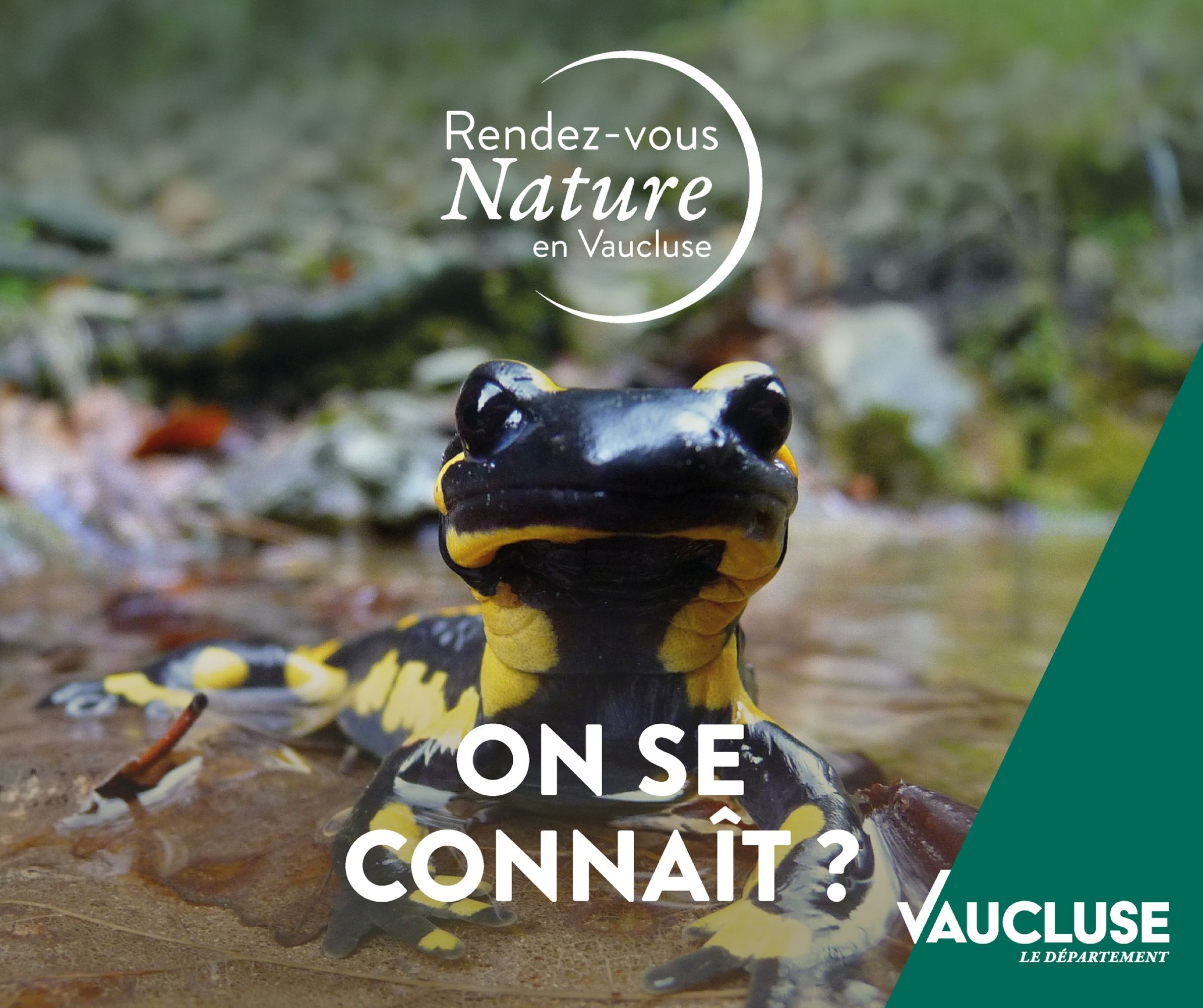Rendez-vous Nature : Les myst�res du petit peuple de la nuit