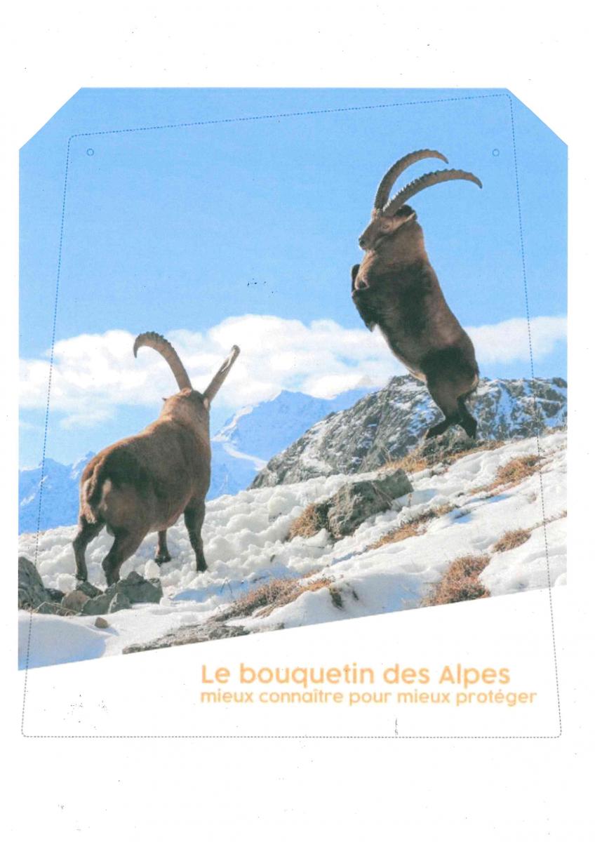 Exposition : Le bouquetin des Alpes, mieux connatre pour mieux protger