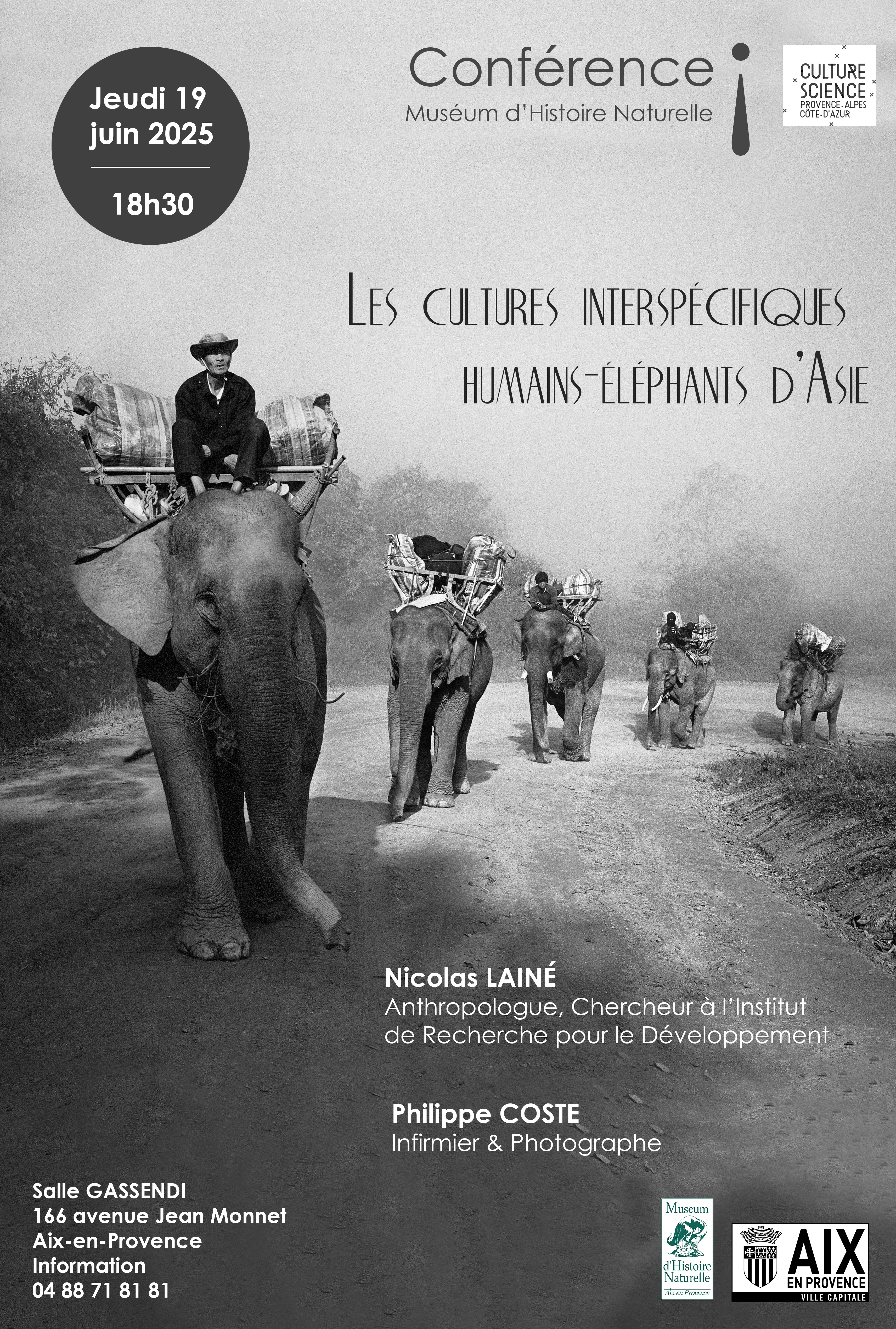 Les cultures interspcifiques humains - lphants dAsie