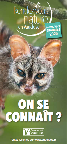 Rendez-vous Nature : Biodiversit crpusculaire et nocturne