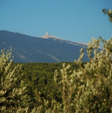 Rendez-vous Nature : Dcouvrir le Ventoux autrement