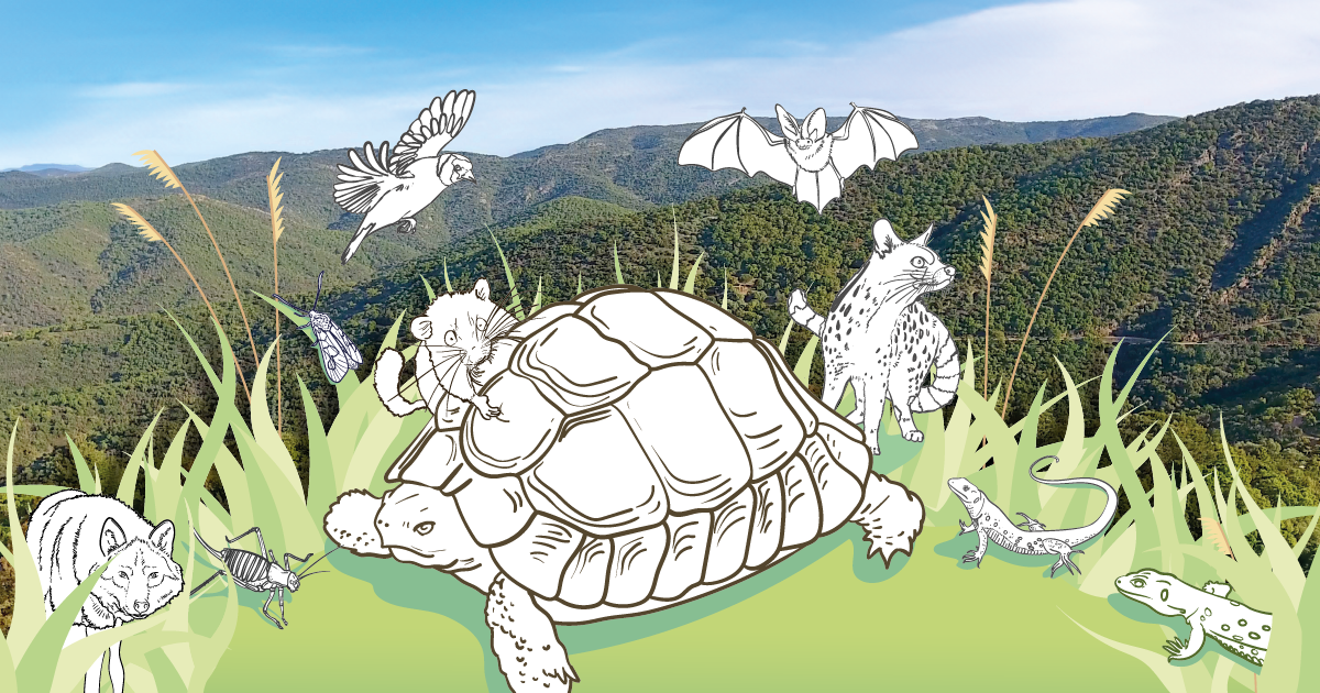 Camp de prospections naturalistes