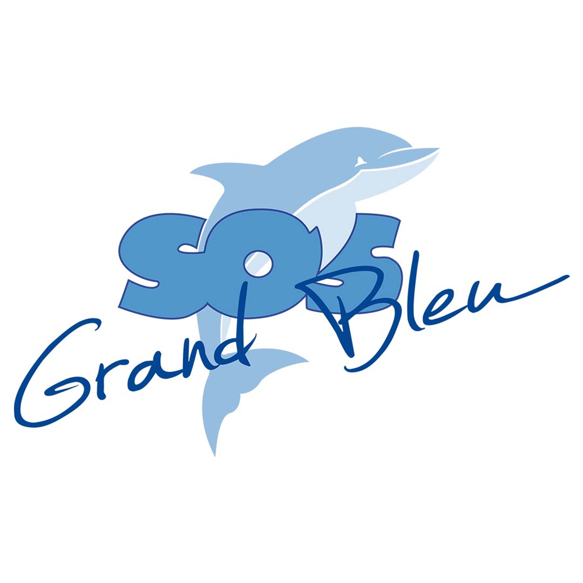 Opration de nettoyage des fonds marins avec SOS Grand Bleu