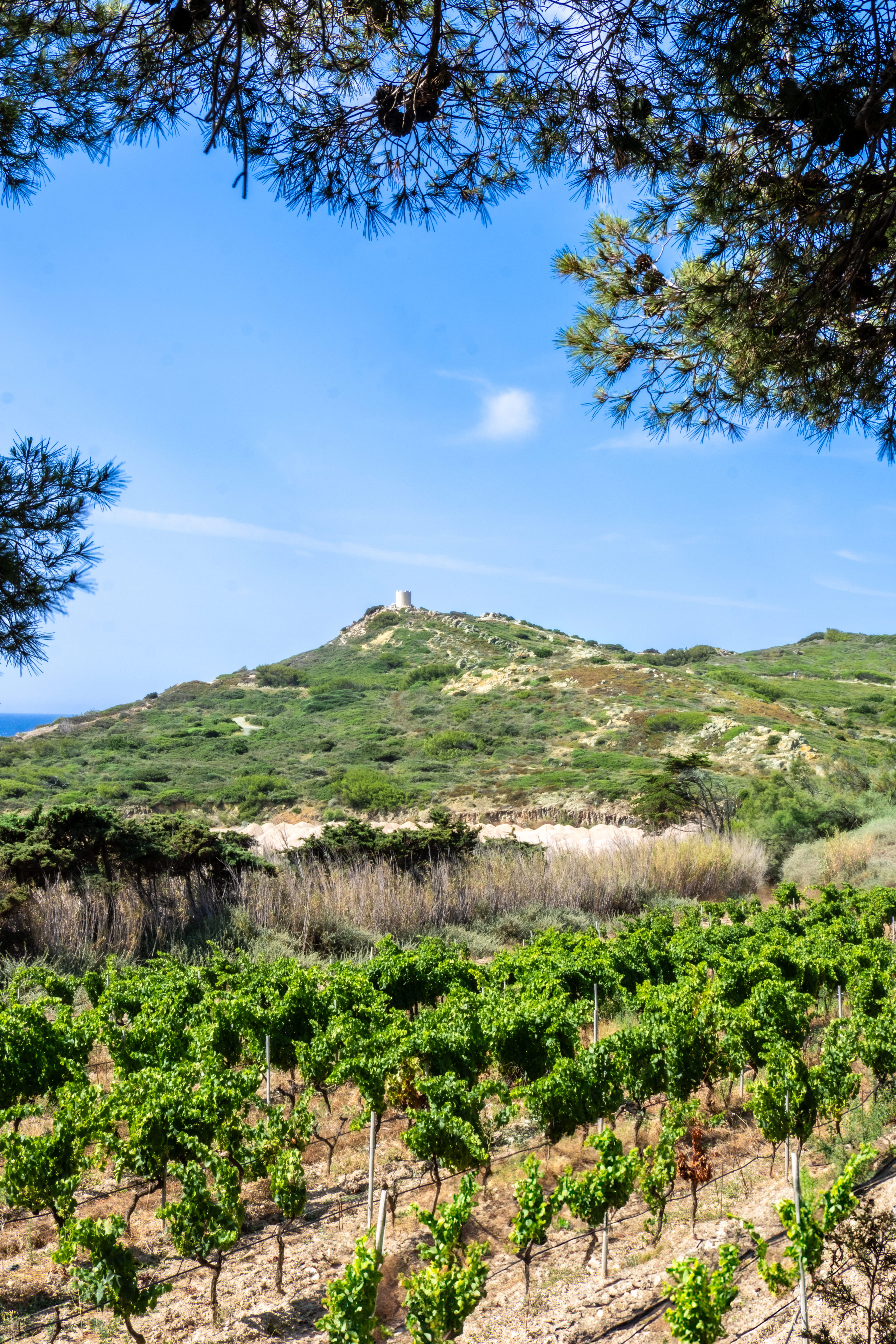 Les visites du domaine des Embiez