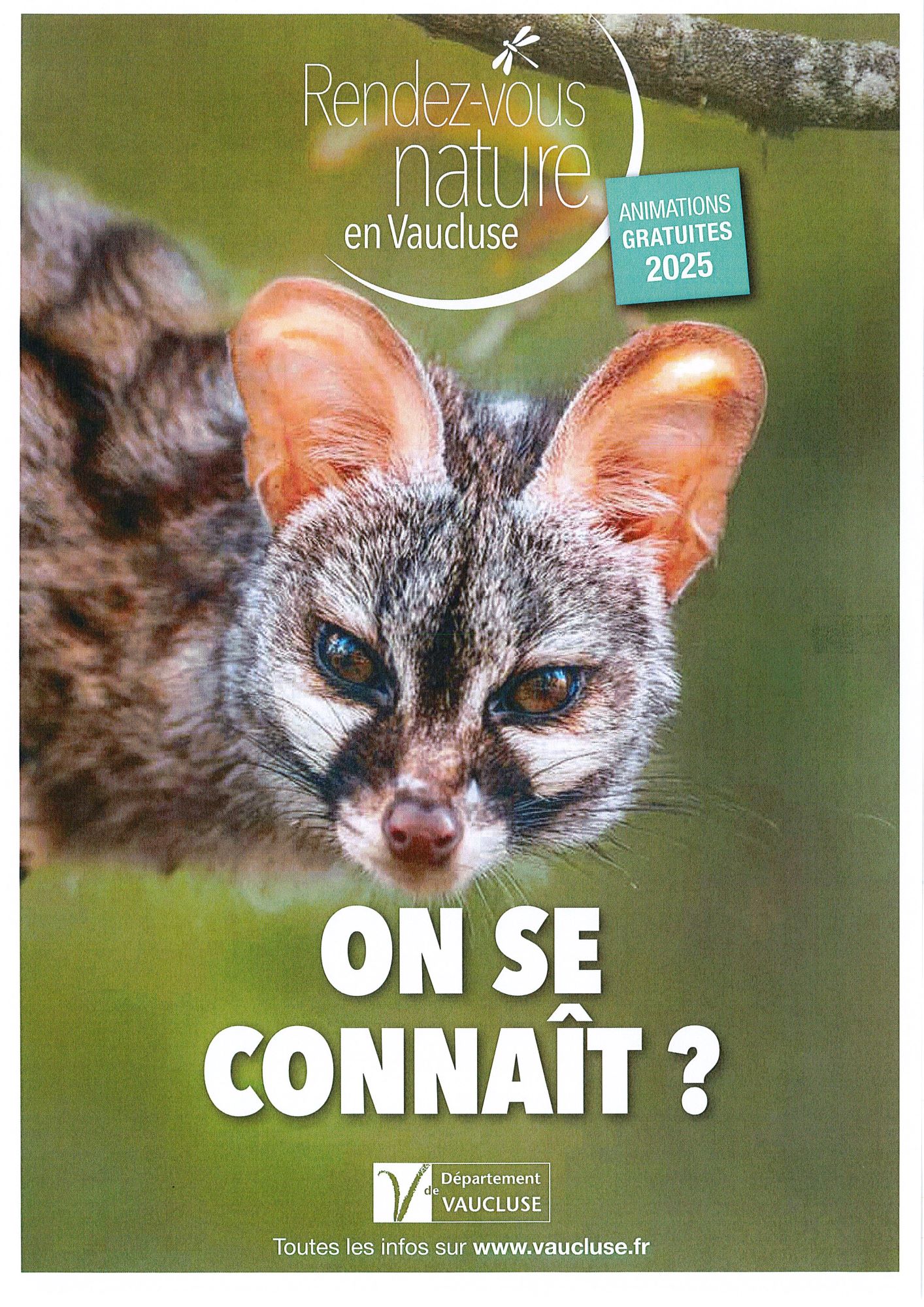 Rendez-vous Nature : Les libellules du Vaucluse