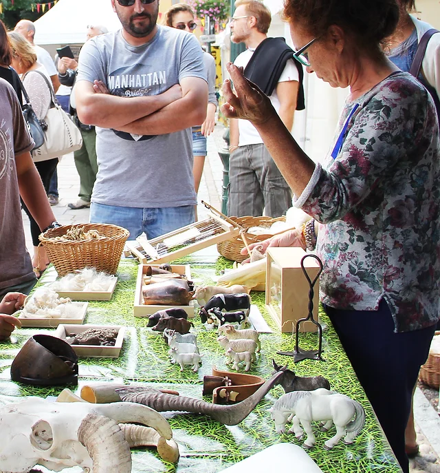 Atelier anim : pastoralisme et domestication