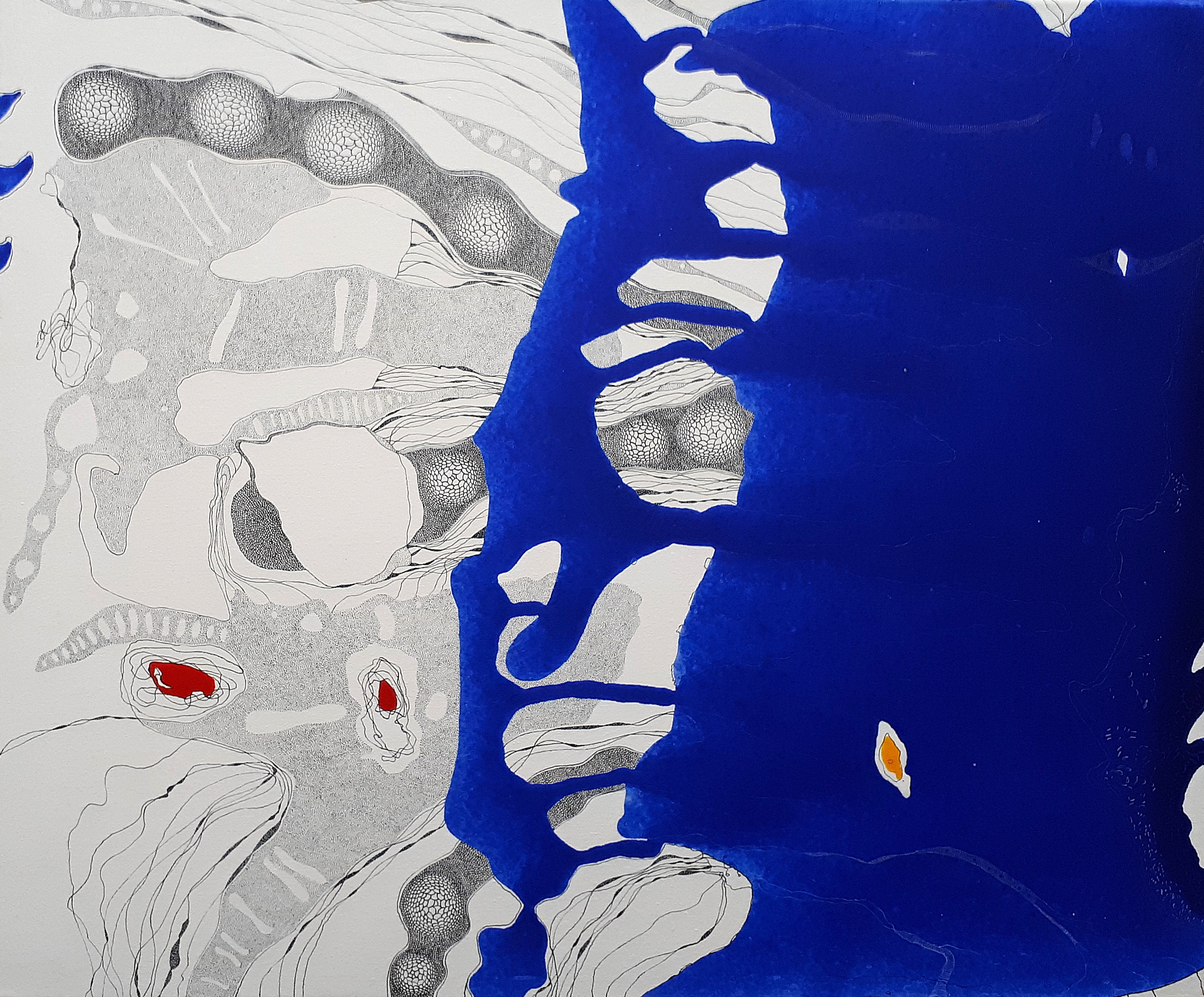 Exposition : 