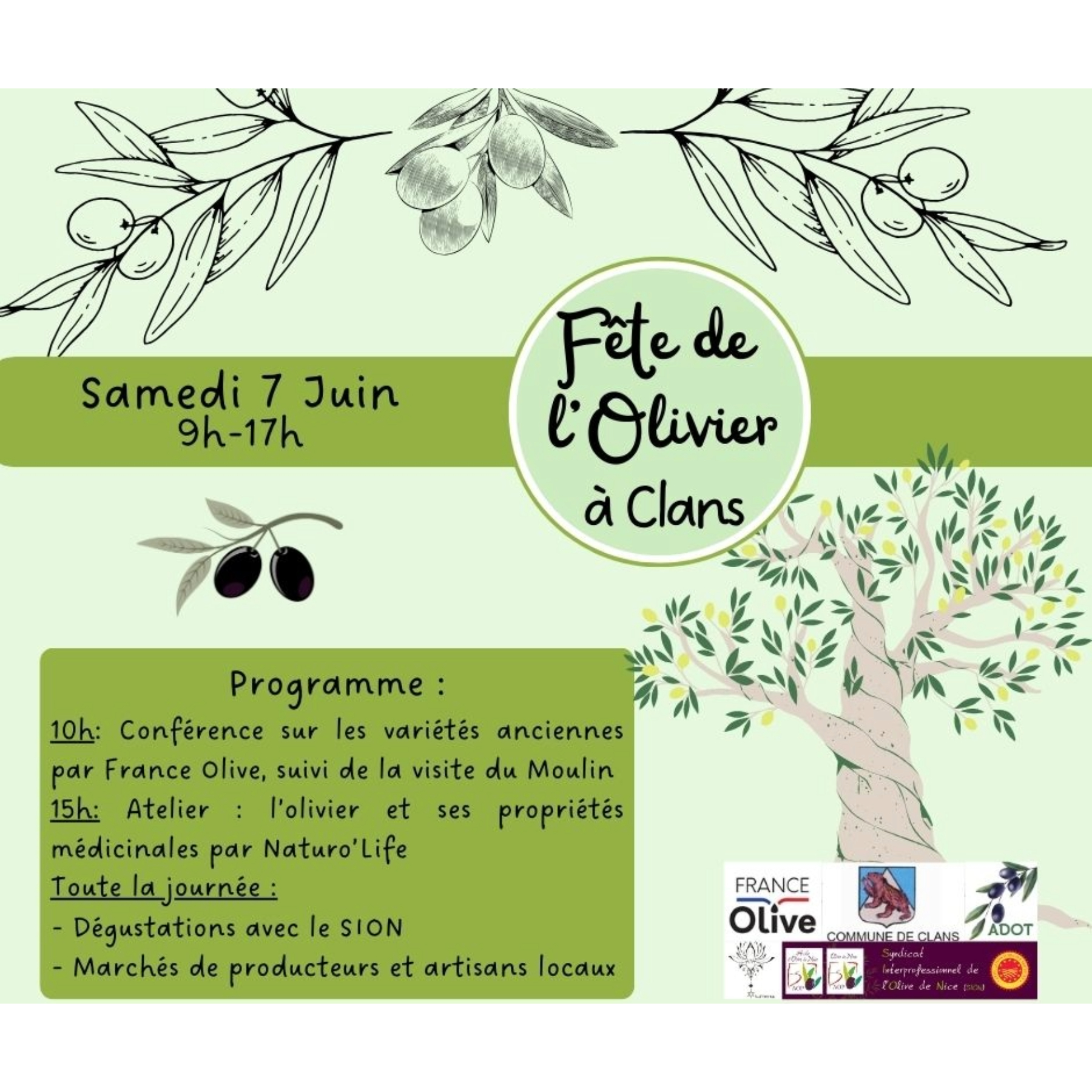 La fte de l'Olivier