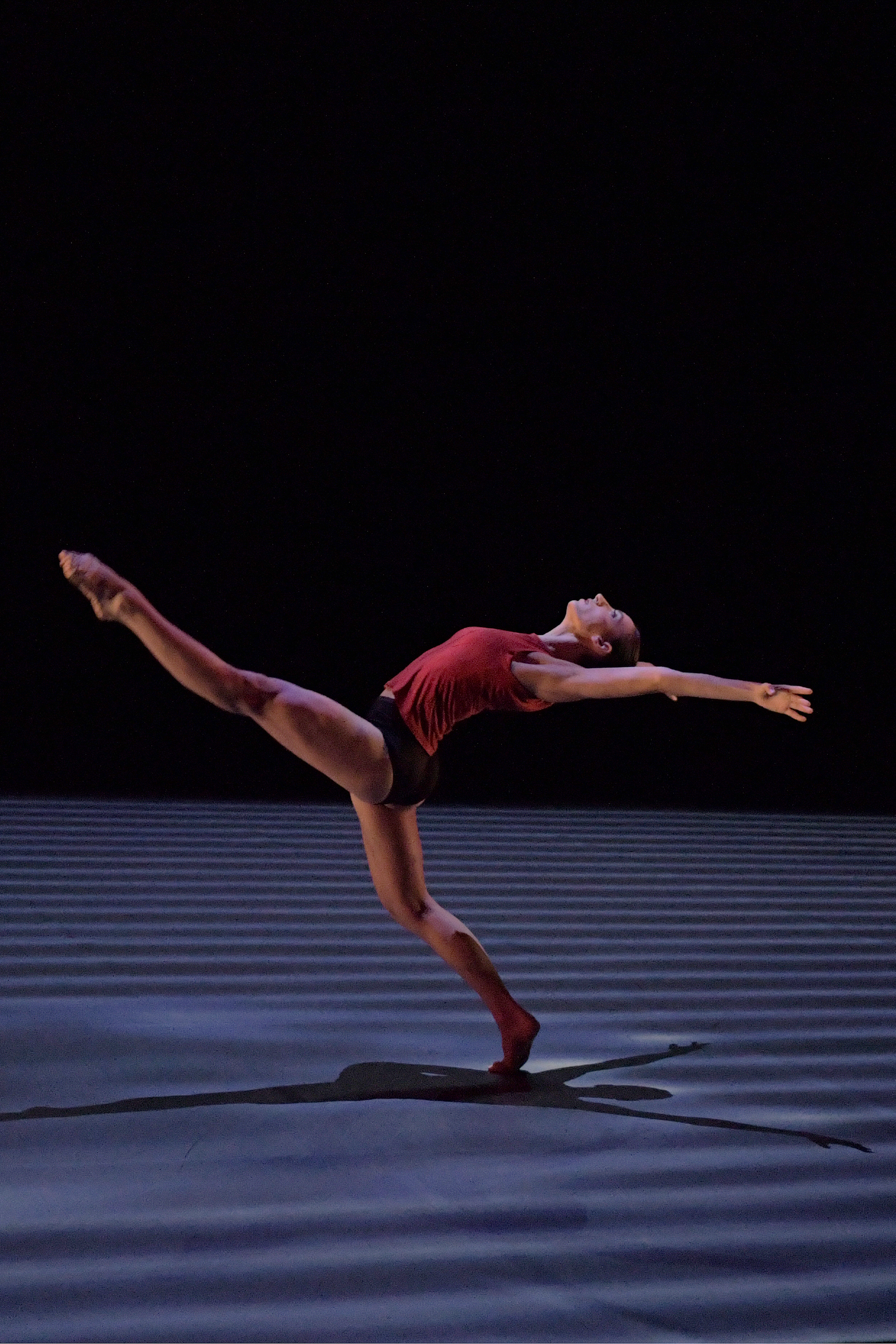Danse - Ballet Preljocaj 