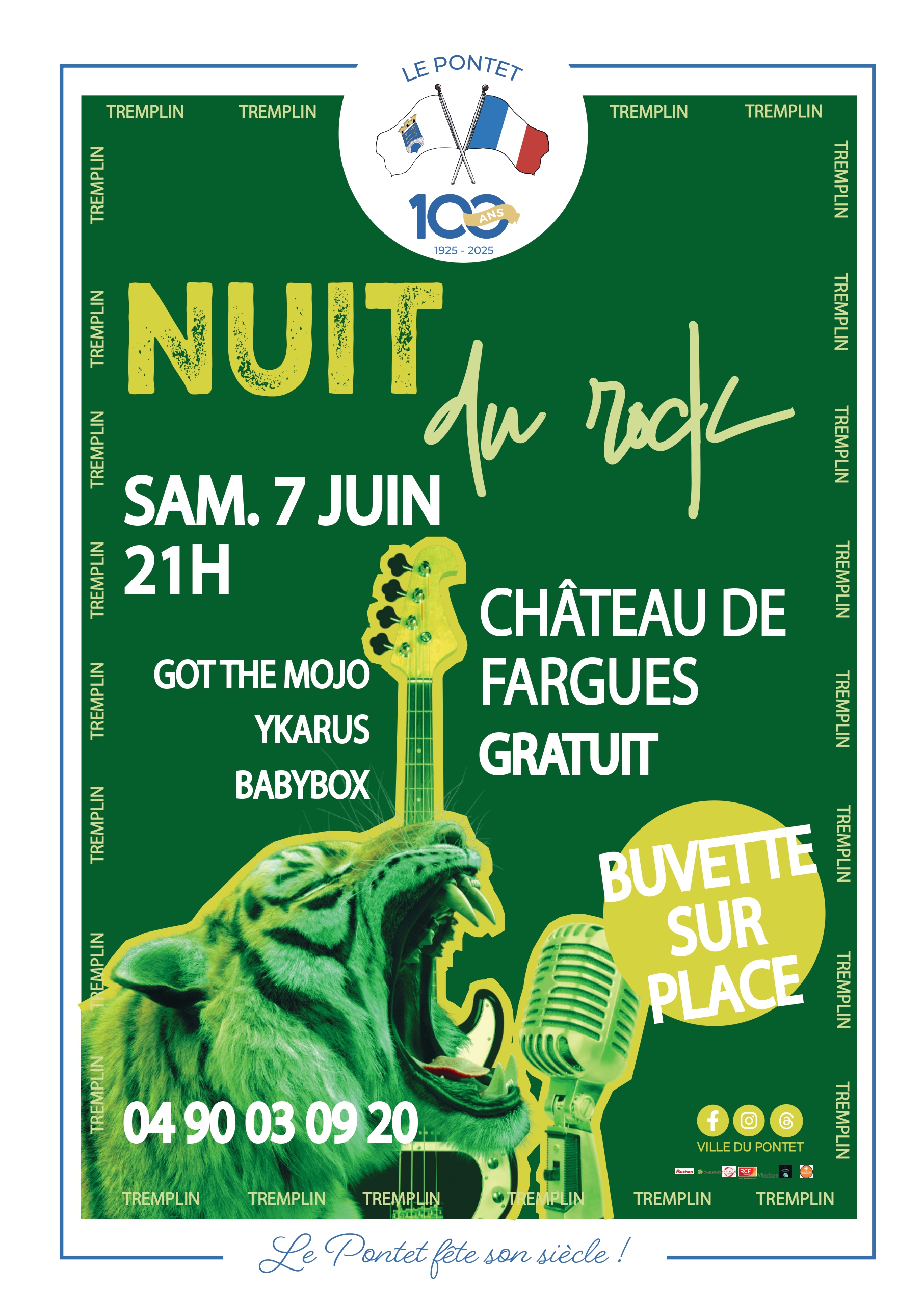 8me Nuit du Rock