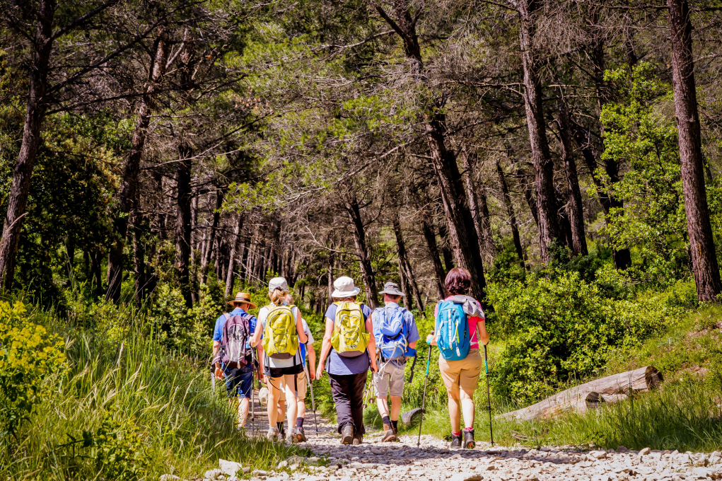 Sortie nature : Gologie des Alpilles