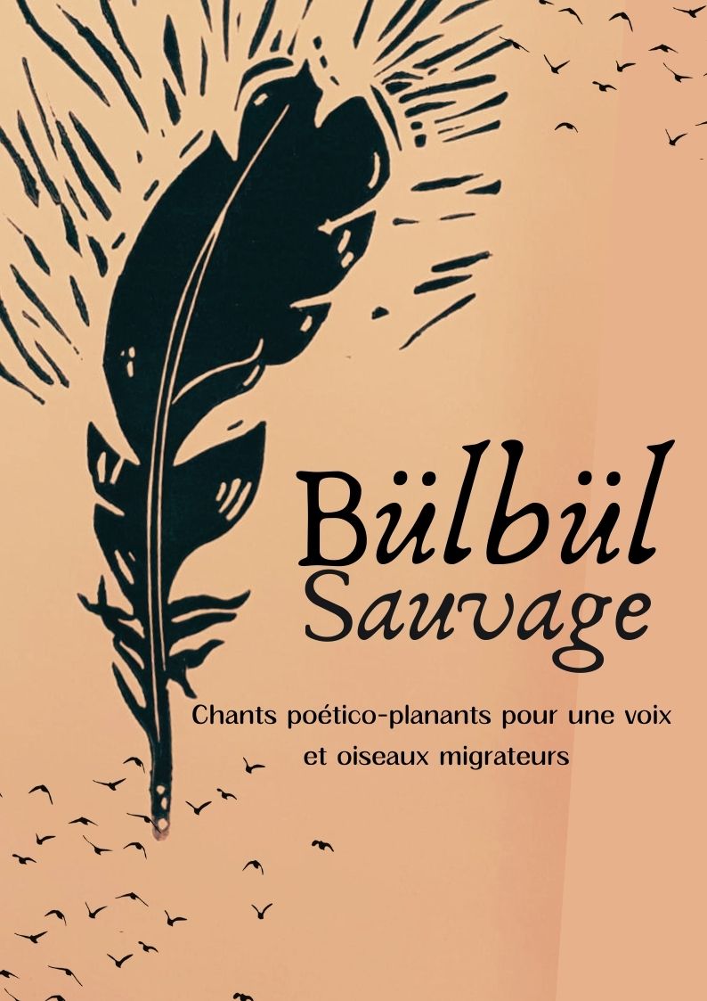 BlBl sauvage : Concert / Spectacle