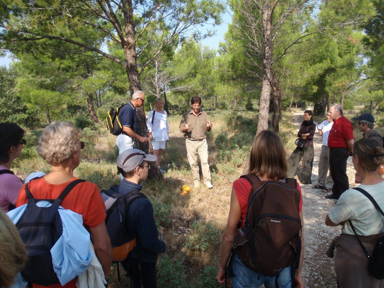 Sortie nature : La sourcellerie dans les Alpilles