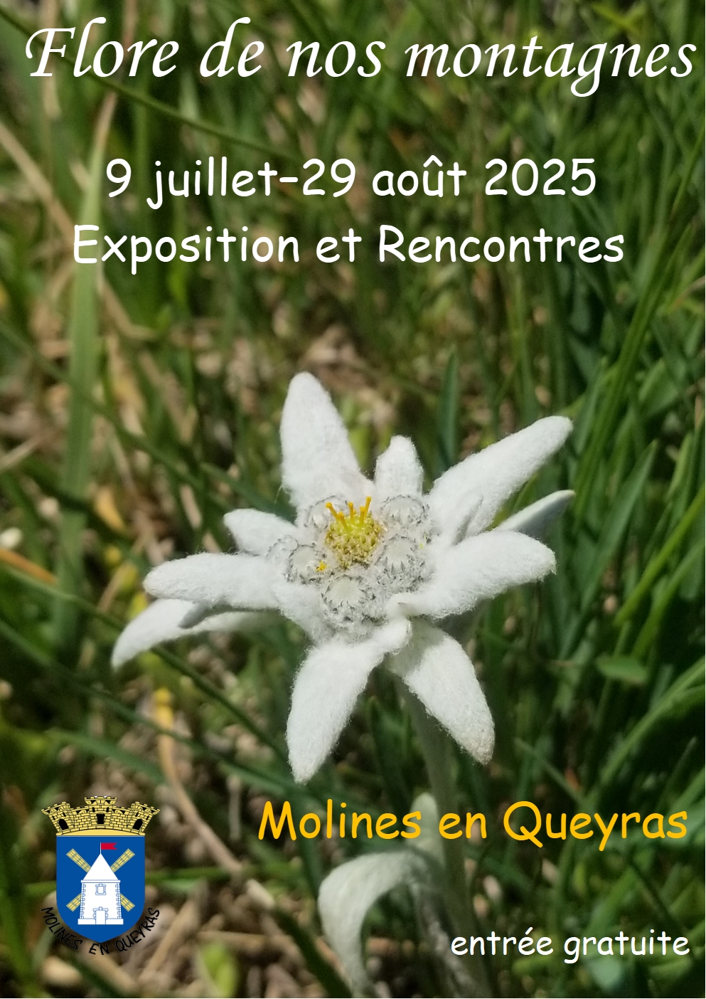 Exposition 