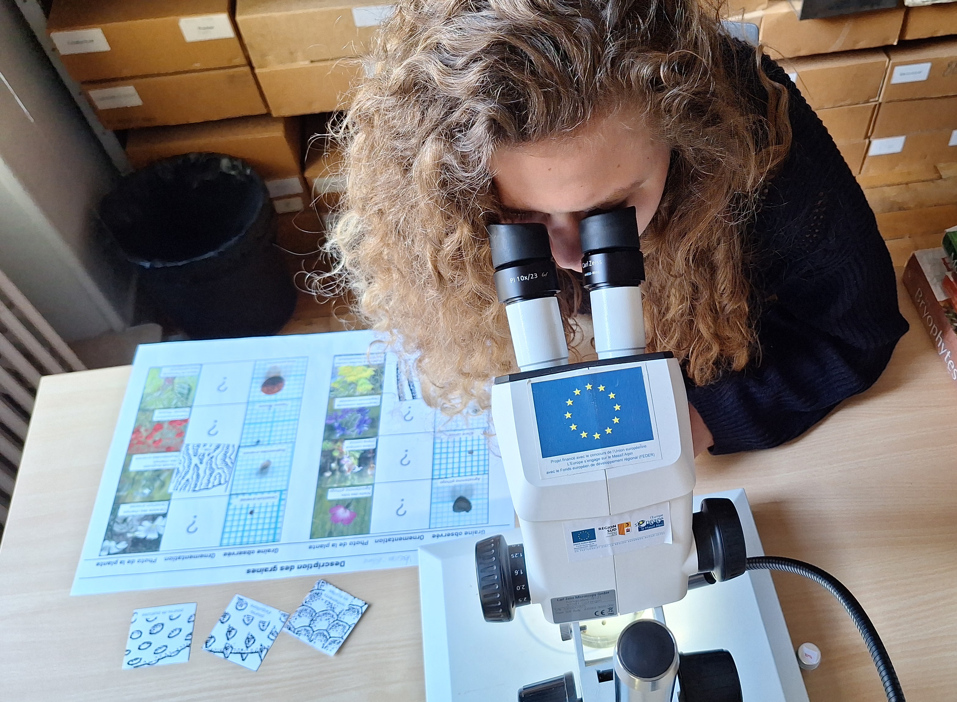 Atelier Prends-en de la graine
