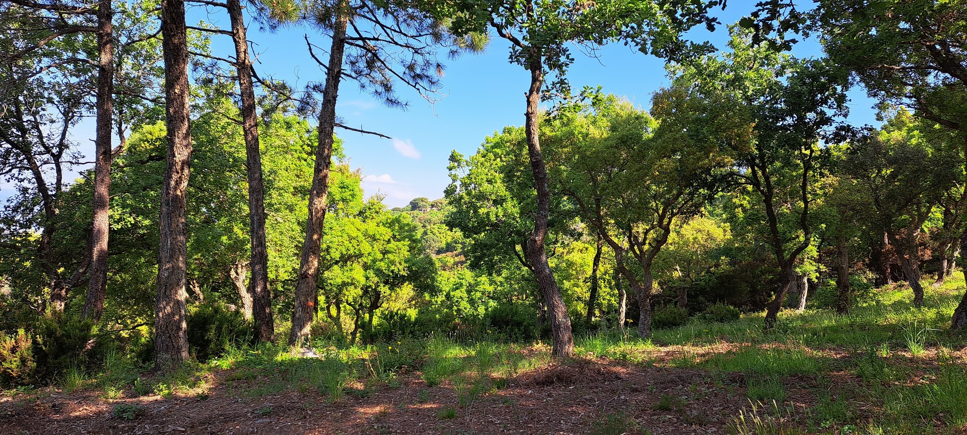 Sophrologie au moulin