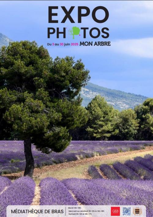 Confrence : protger les vieux arbres